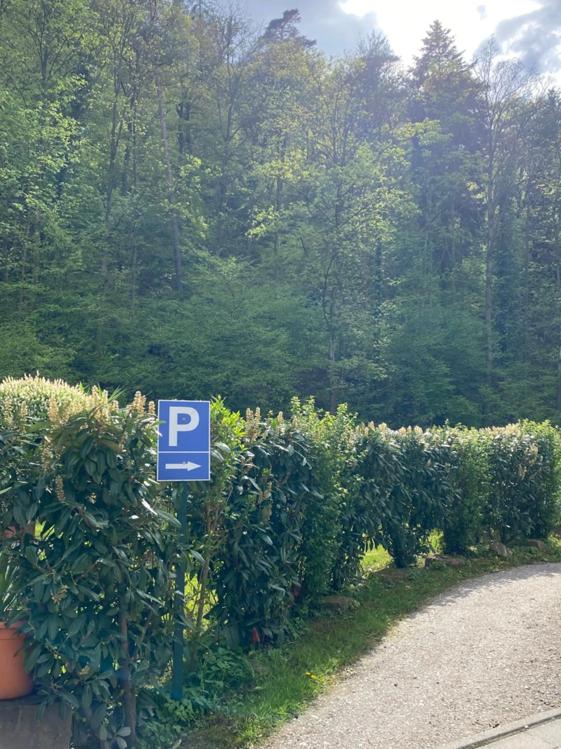 Parking in Hotel Scheid