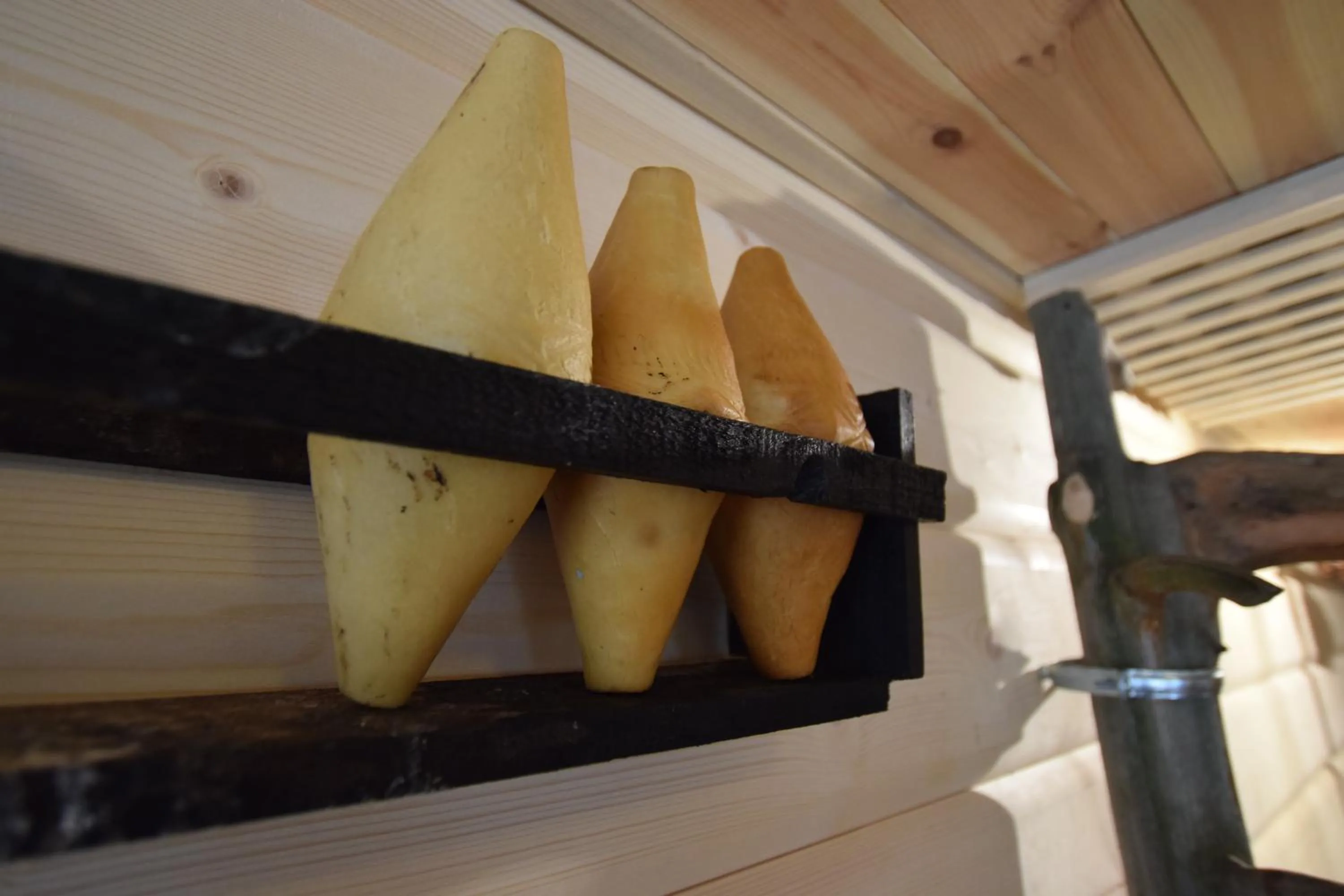 Property building in Dafne Zakopane