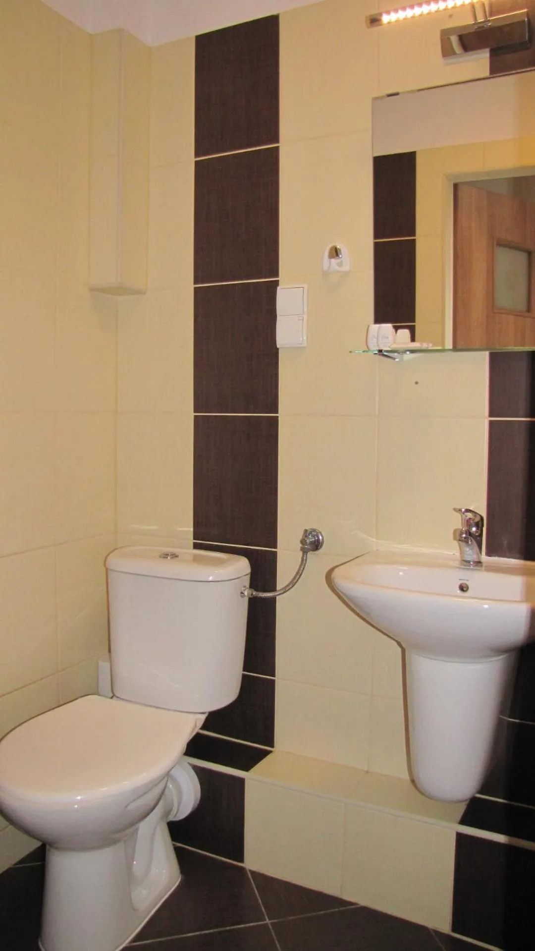 Toilet in Dafne Zakopane