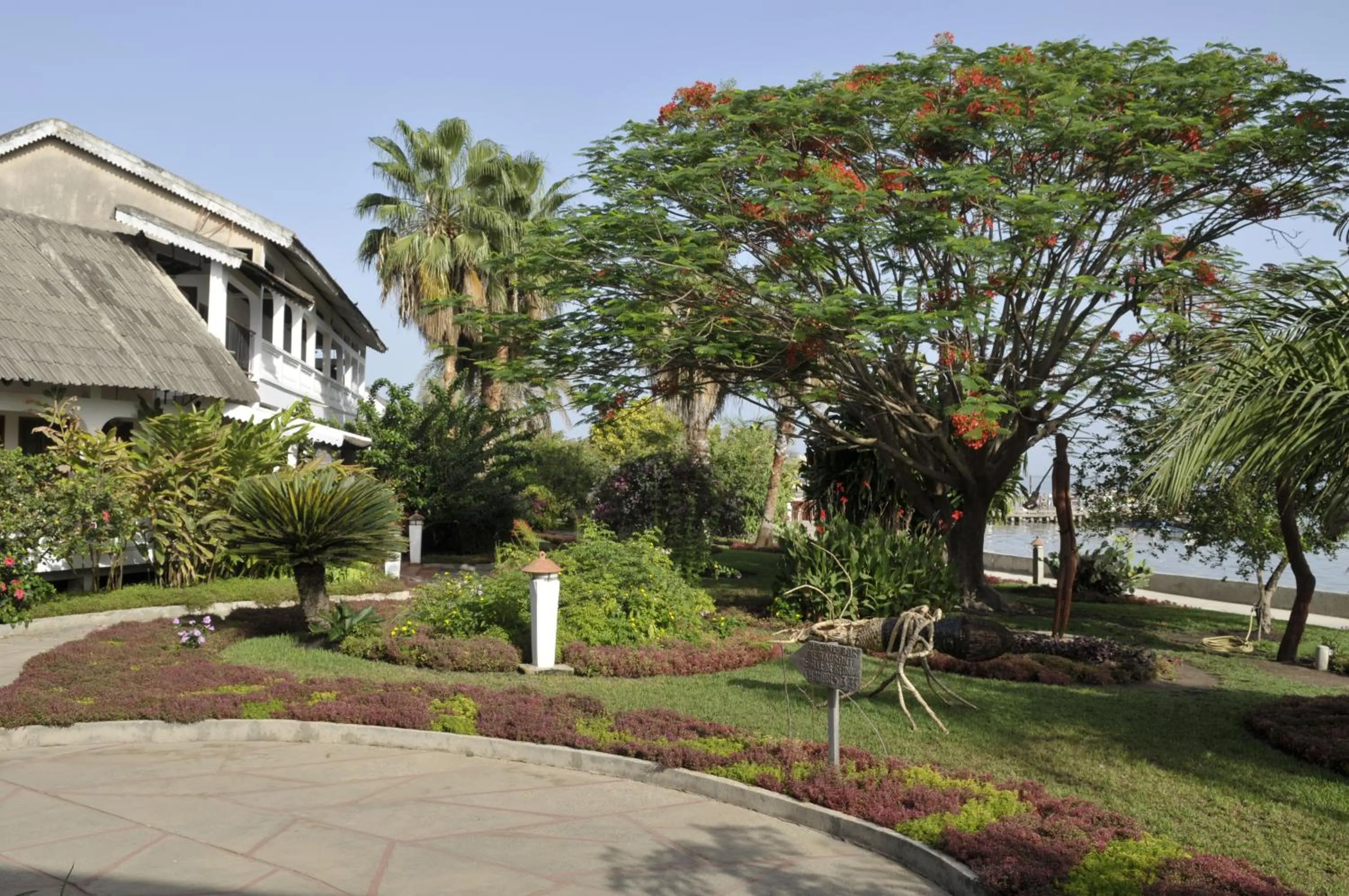 Garden in Hôtel Kadiandoumagne