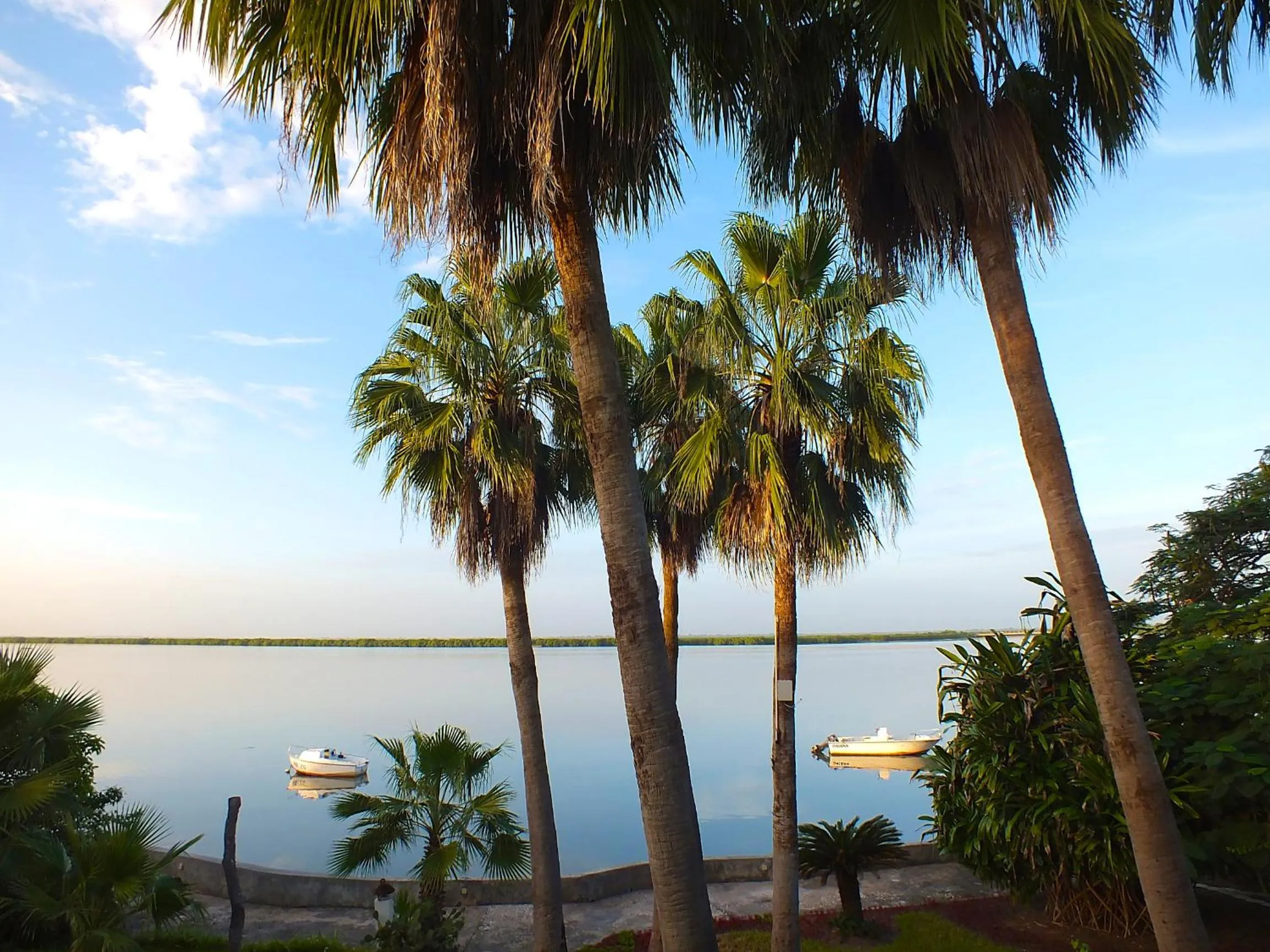 Garden in Hôtel Kadiandoumagne