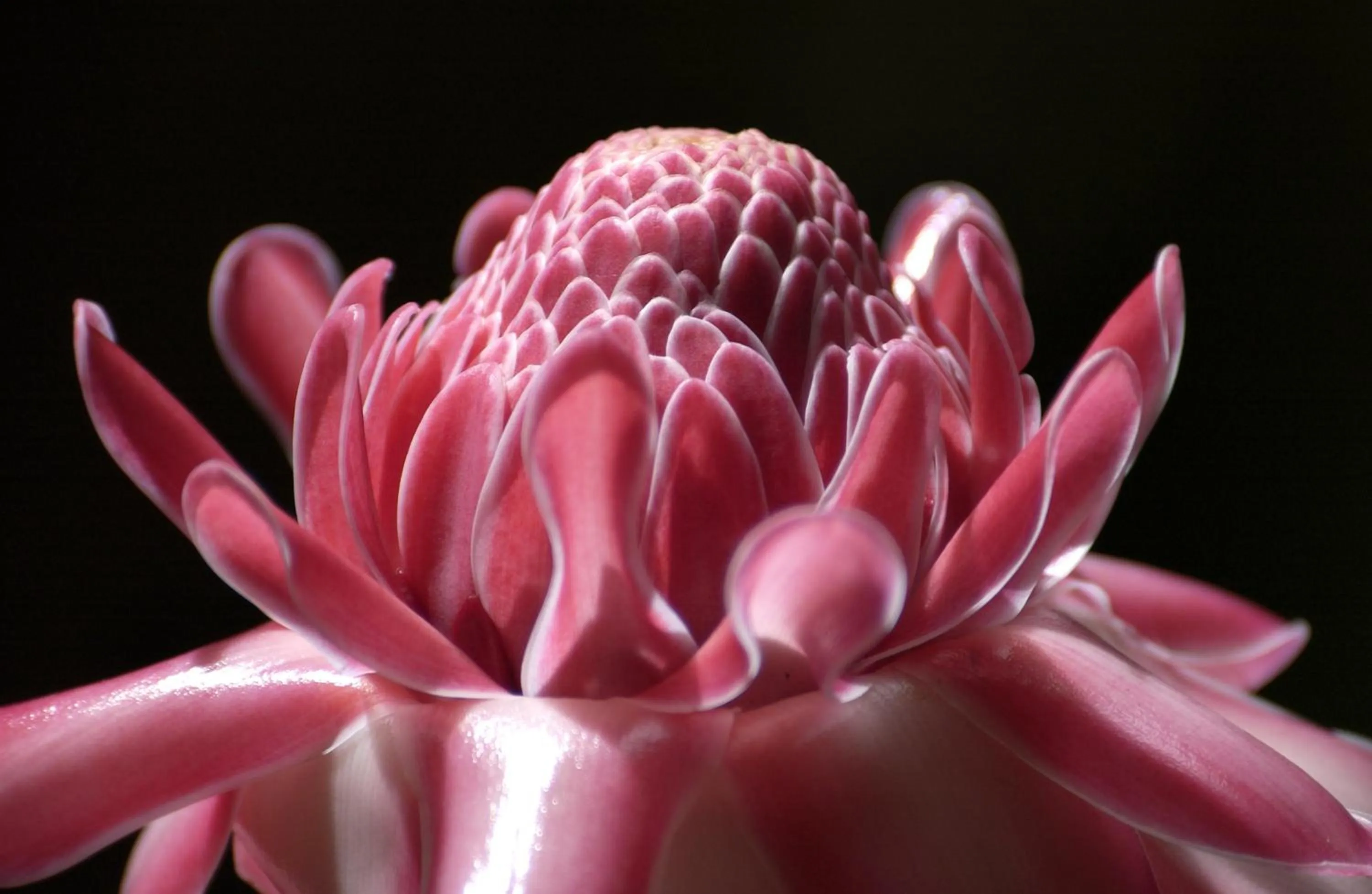 Other in Hôtel Kadiandoumagne