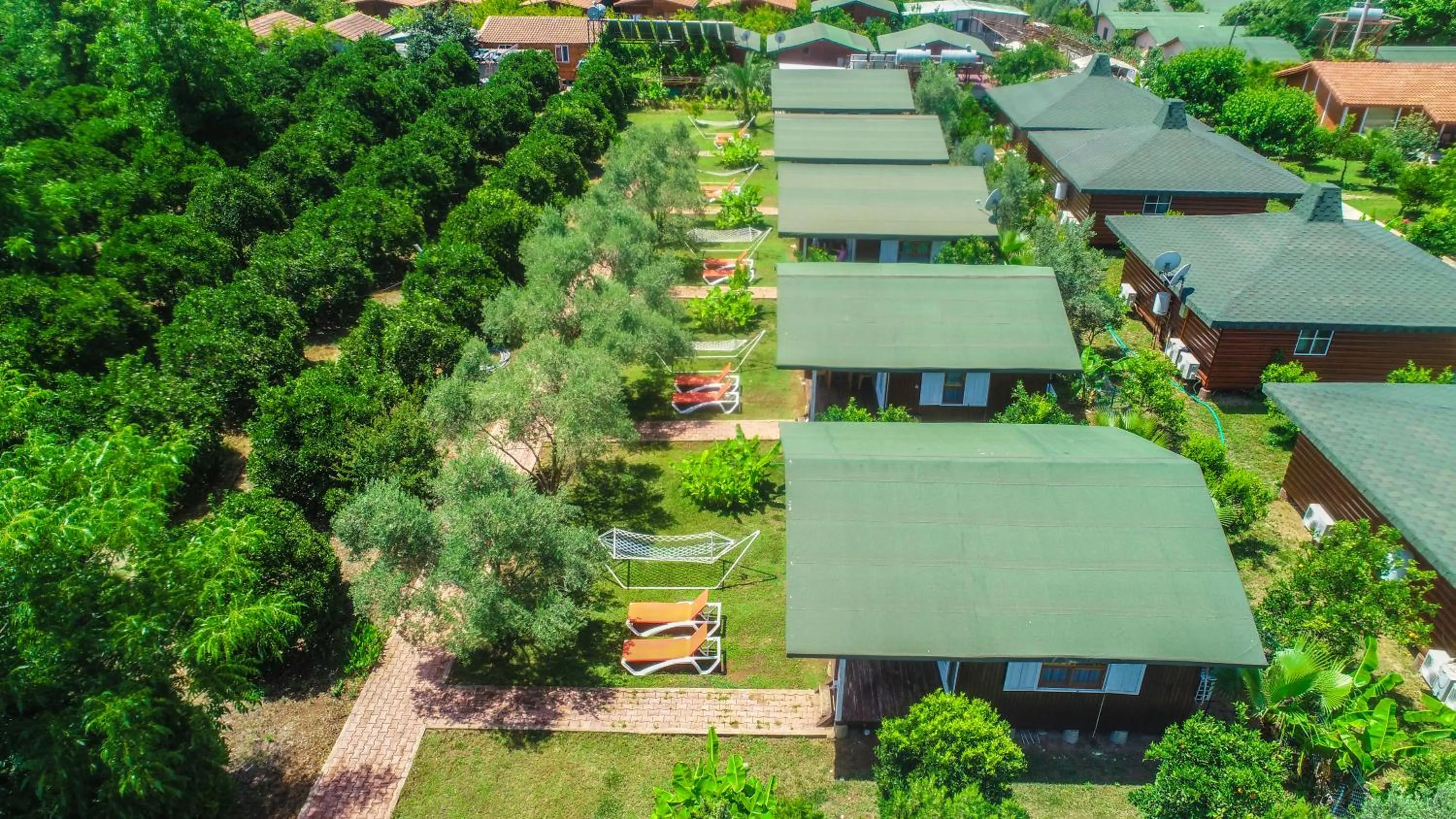 Bird's eye view in Cirali Zakkum Bungalow