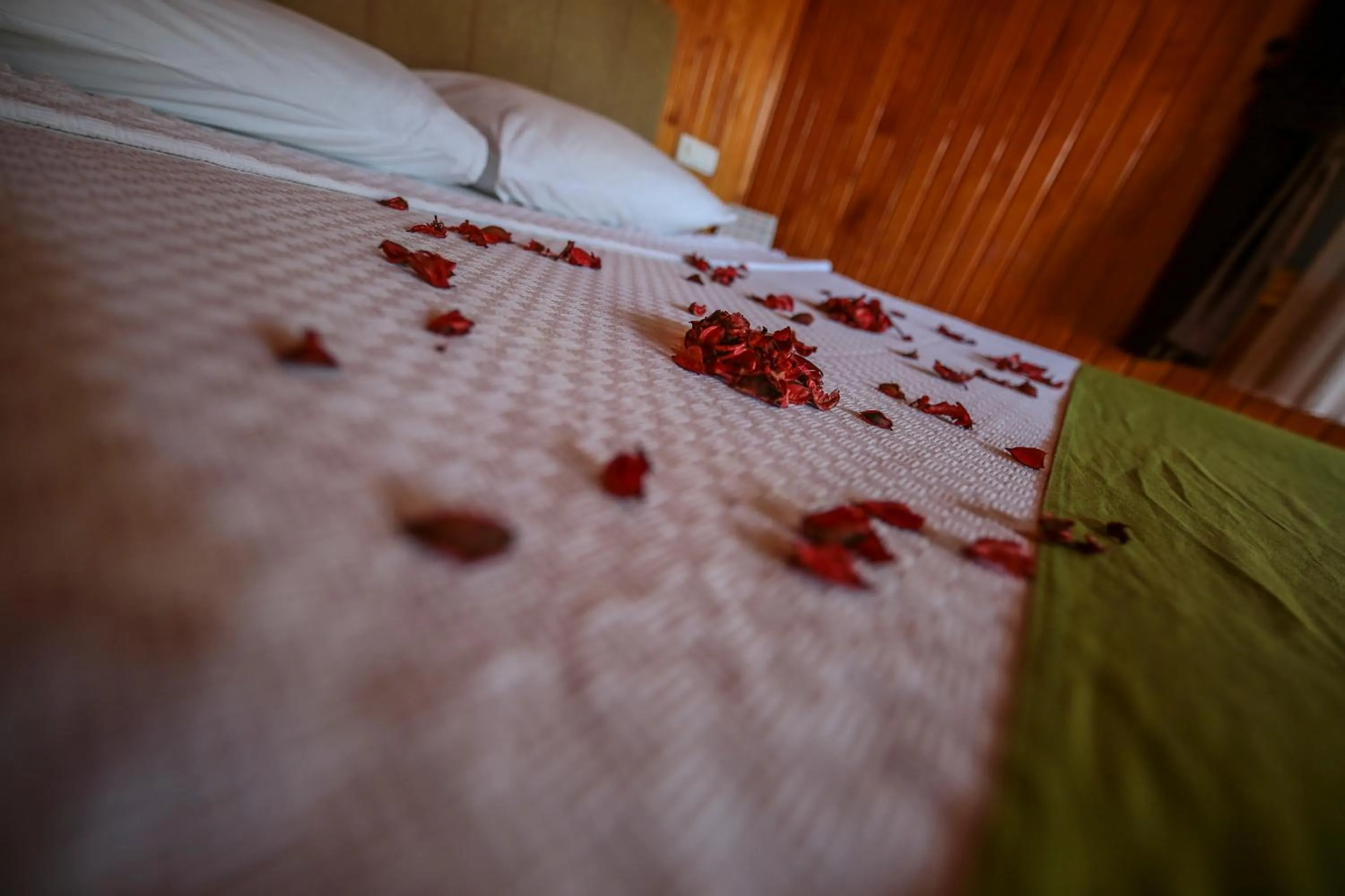 Cirali Zakkum Bungalow