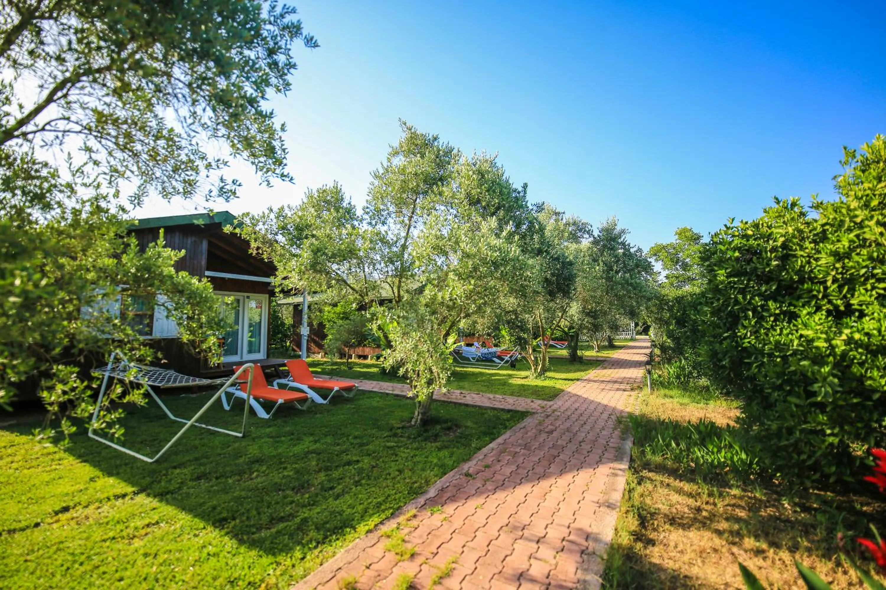 Cirali Zakkum Bungalow