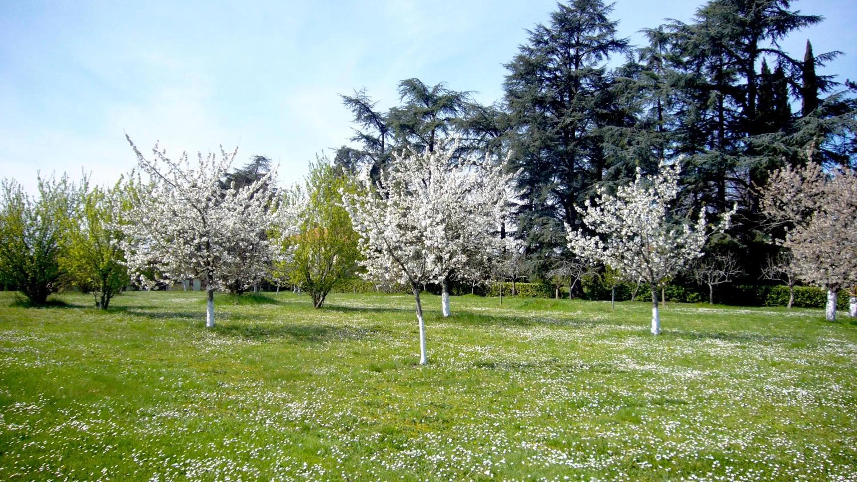 Property building in Villa Marambat