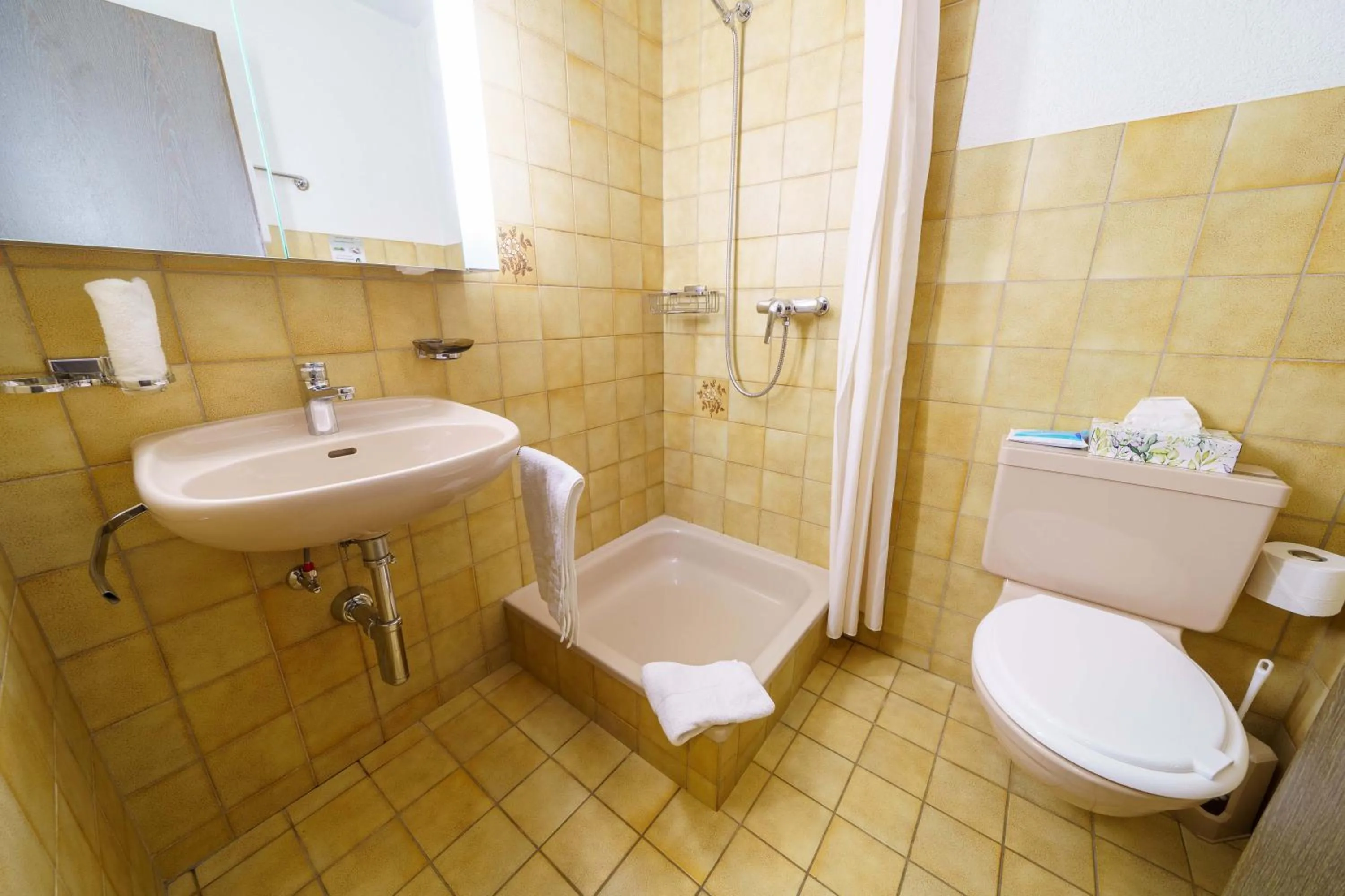 Shower in Hotel Toggenburg