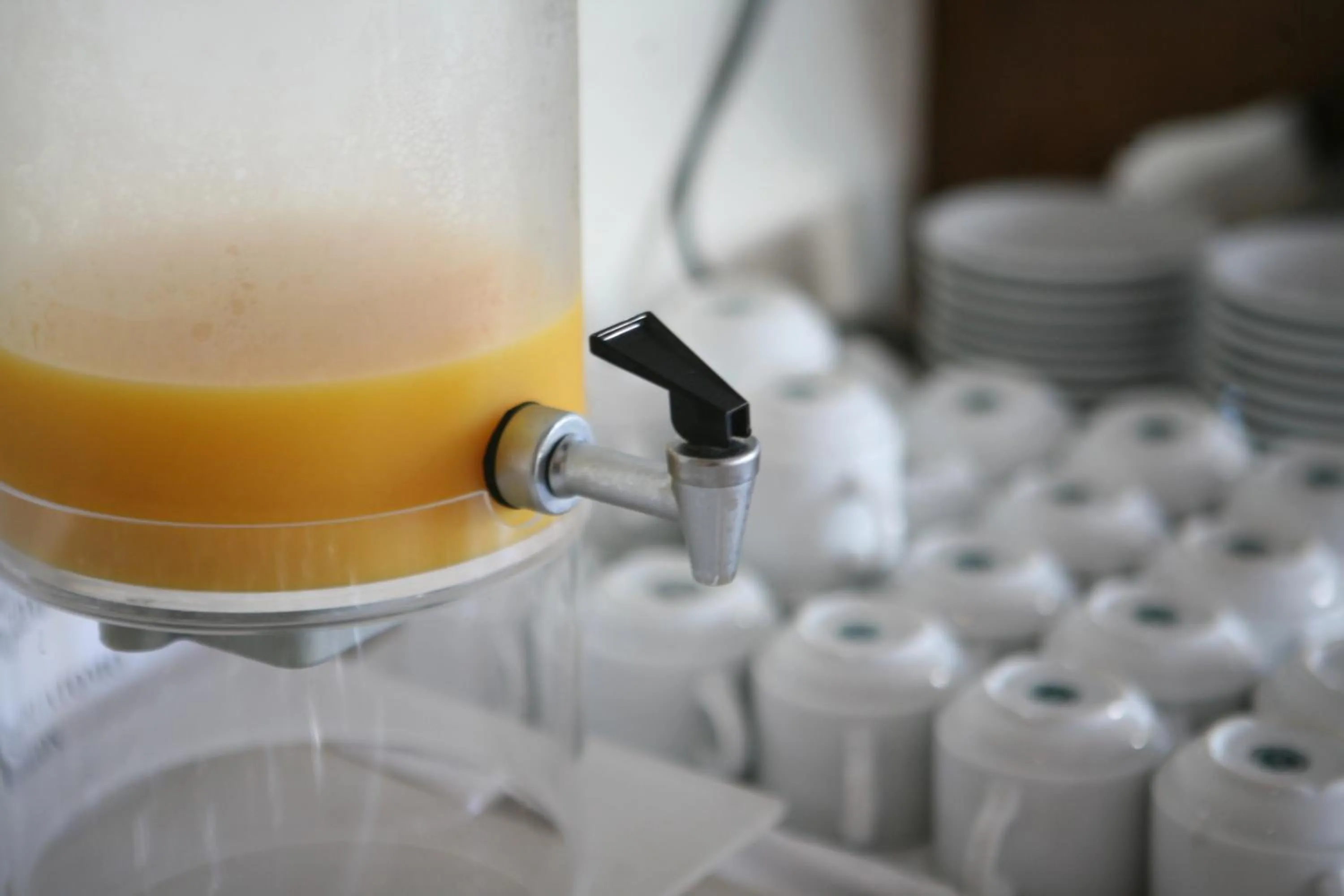 Drinks in Hotel Eleana