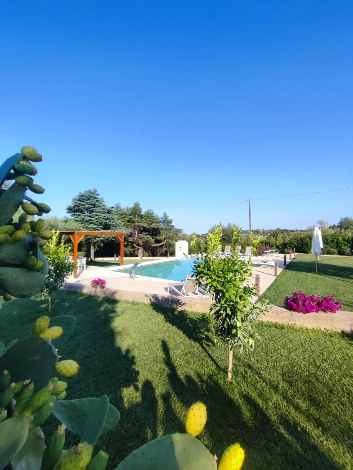 Swimming pool in Villa Ostuni