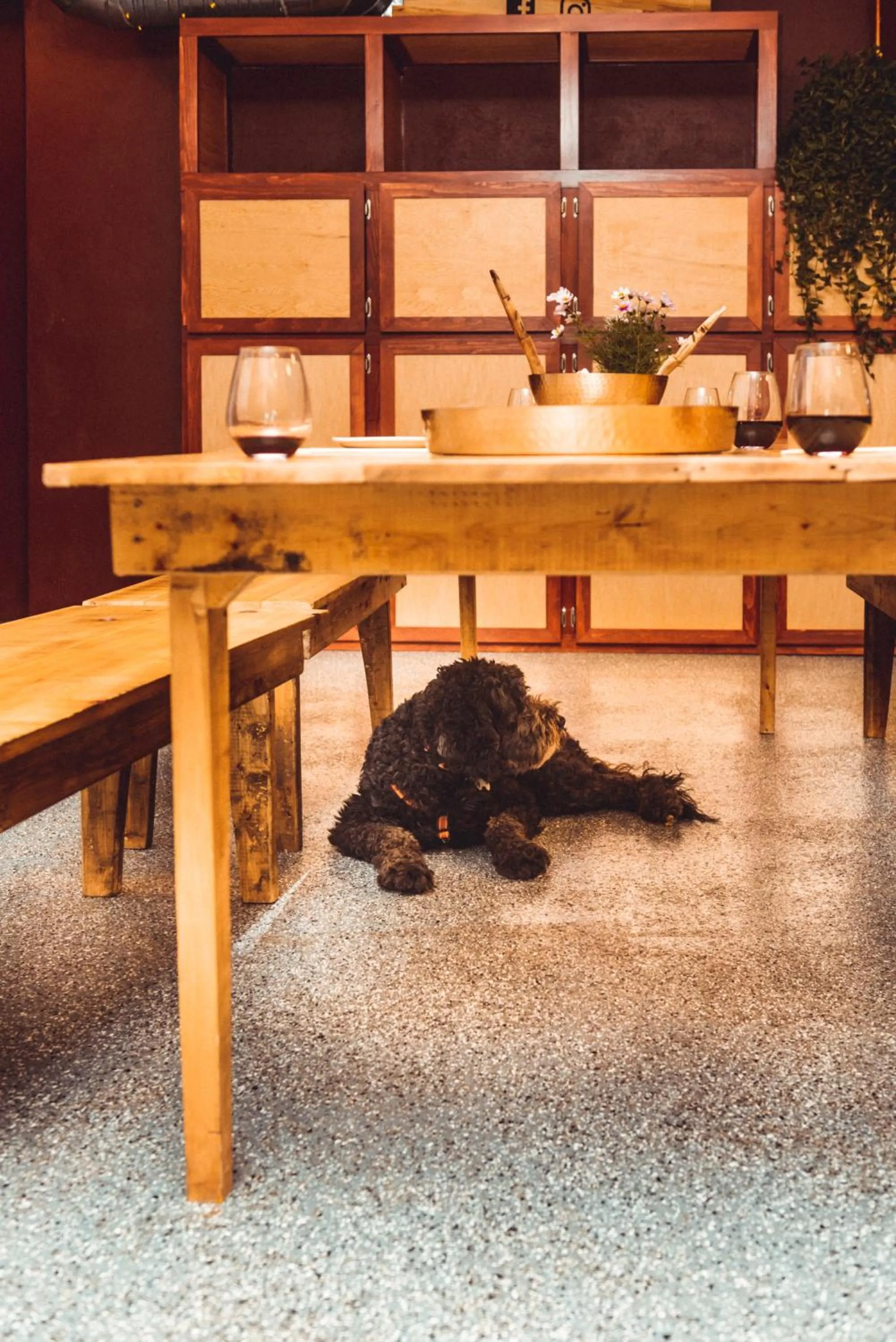 Communal lounge/ TV room in The Haven Hostel