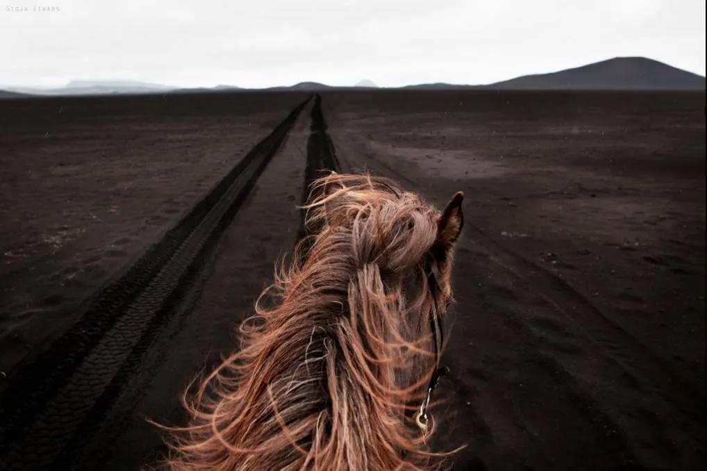 Horse-riding in Hotel Akureyri