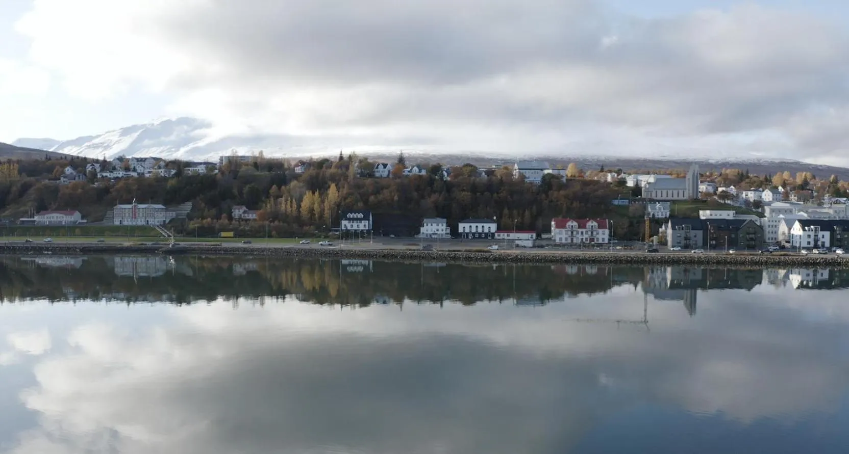 Natural landscape in Hotel Akureyri