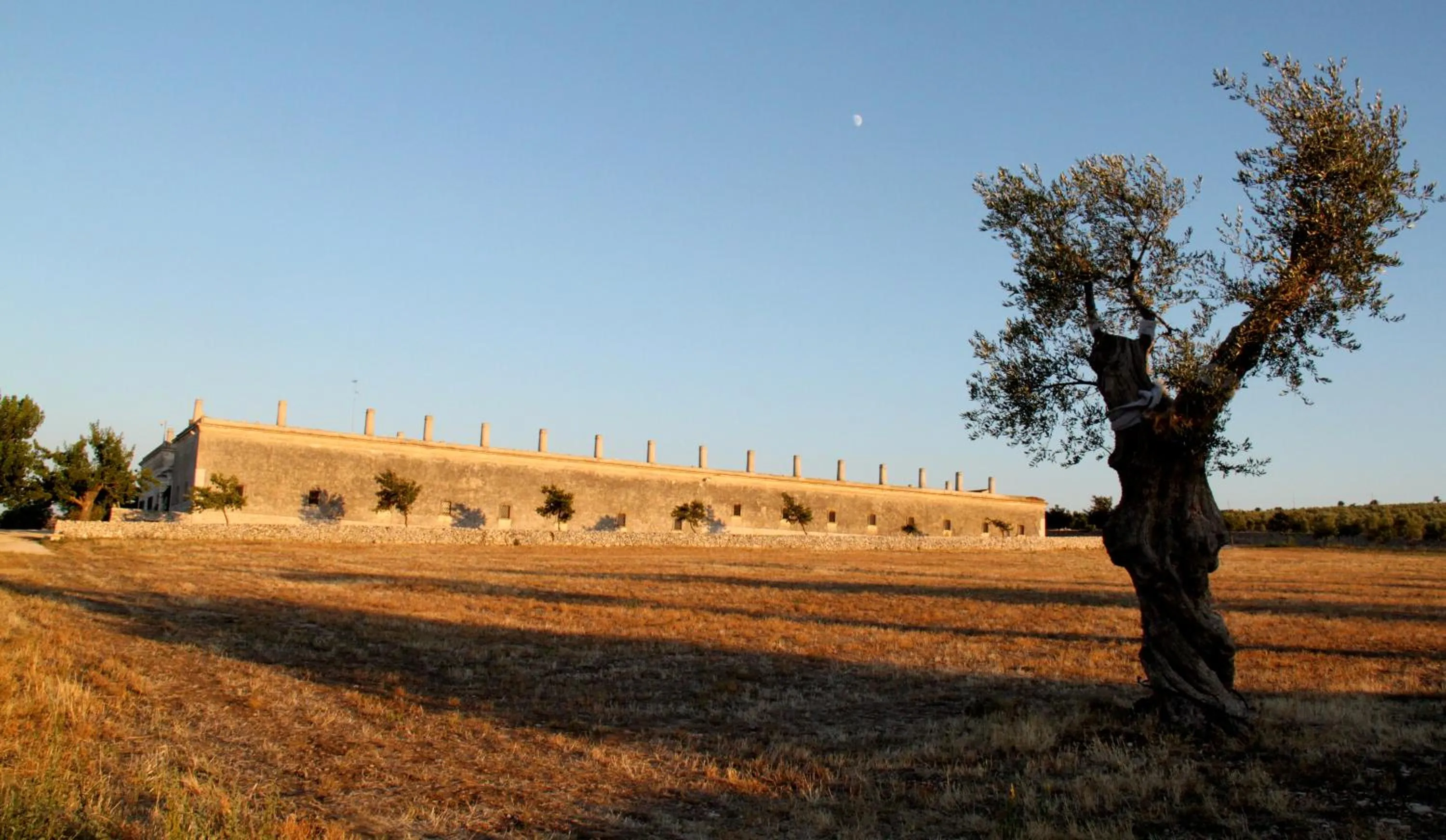 Property building in Lama Di Luna Biomasseria