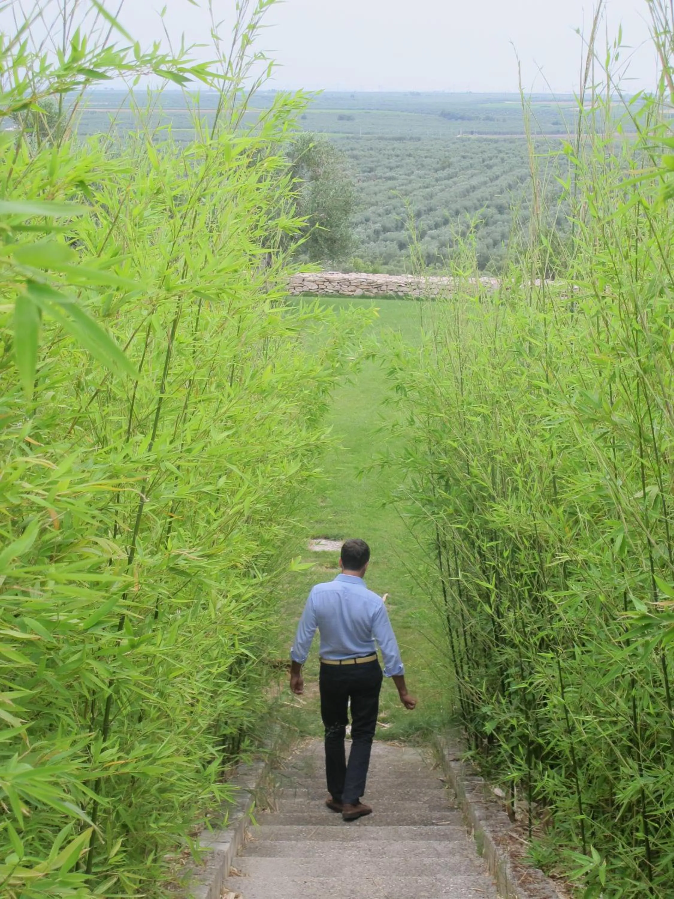 Garden view in Lama Di Luna Biomasseria