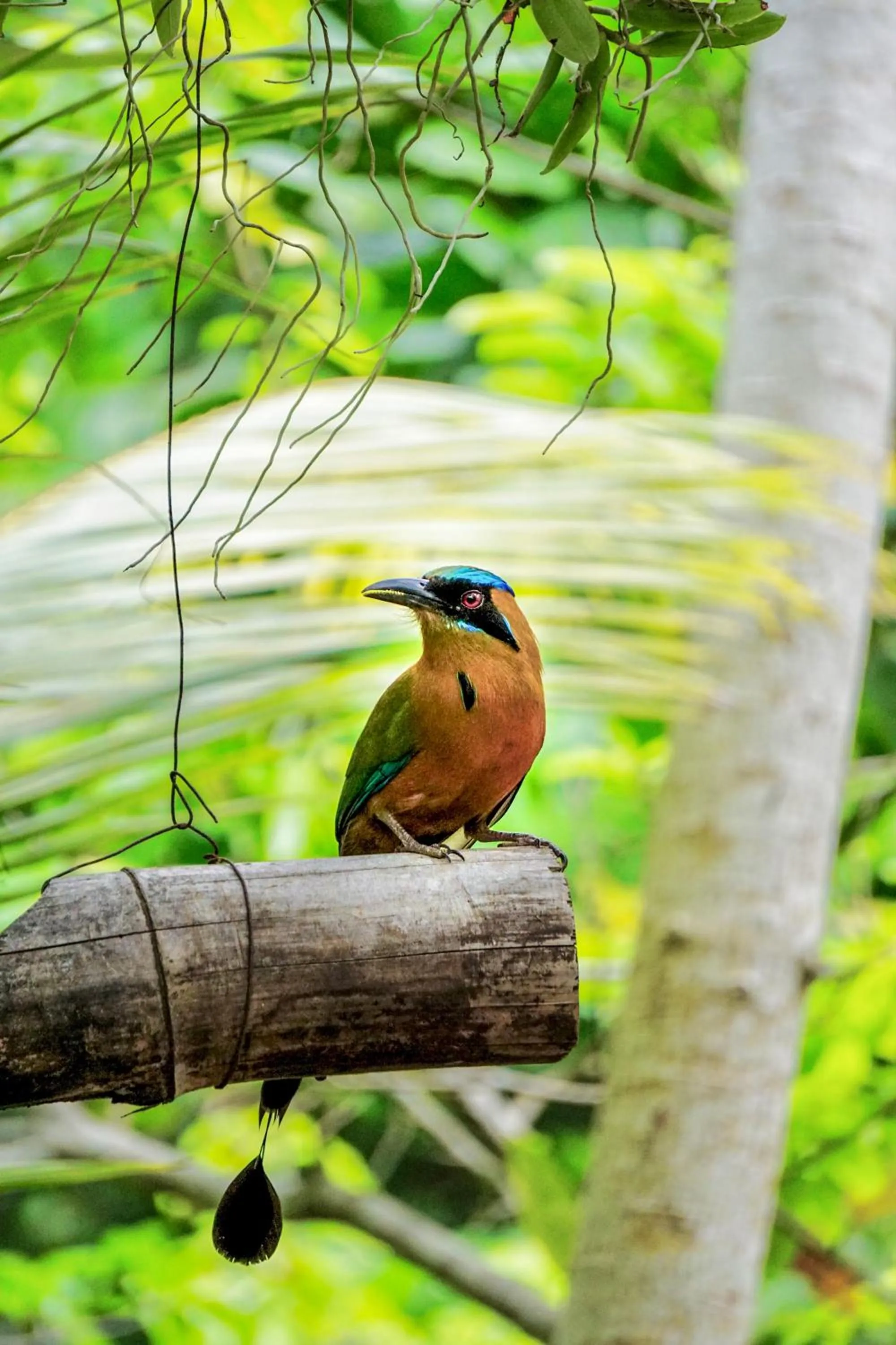 Day in Barranquero Hotel