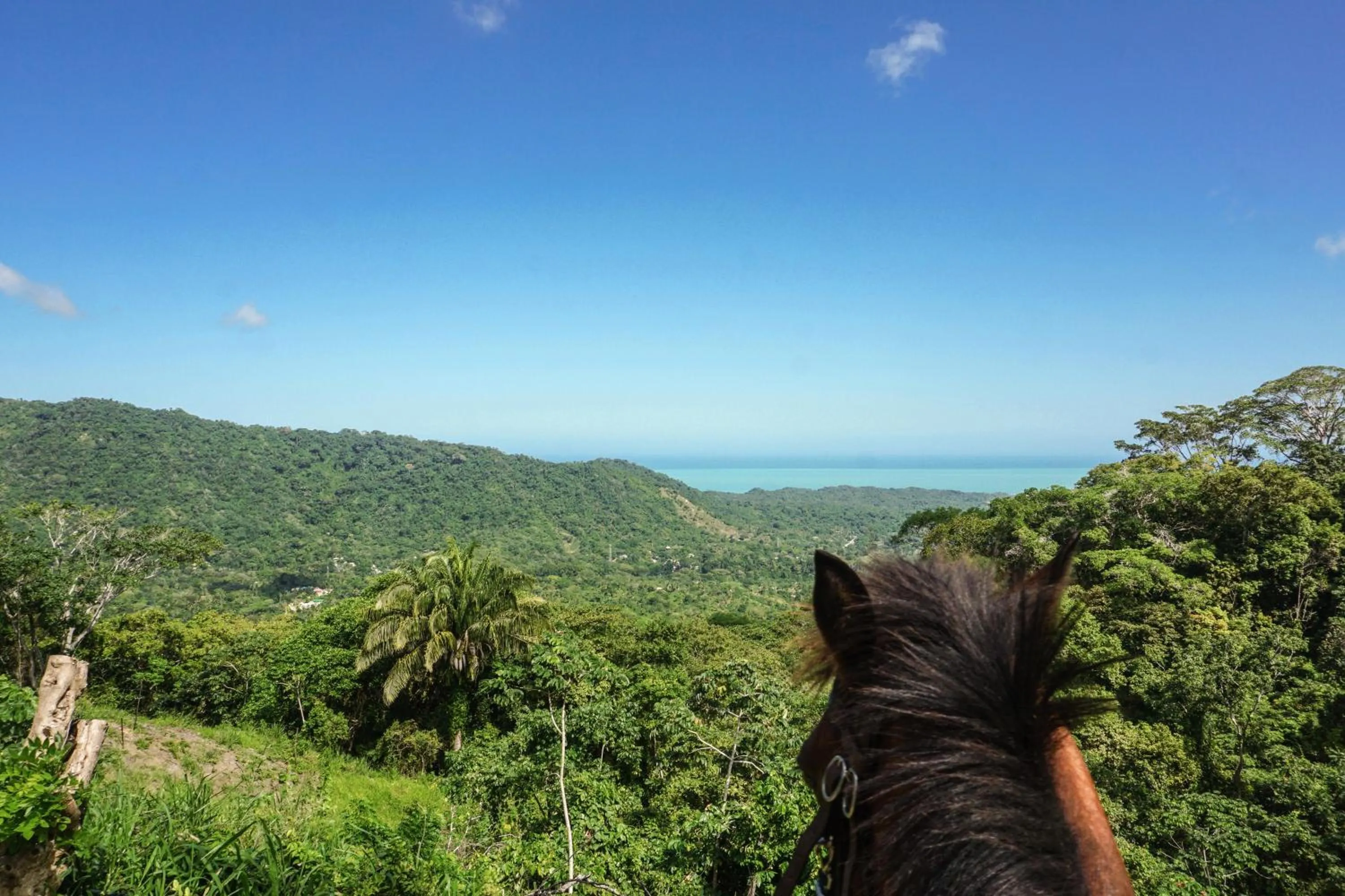 Nearby landmark in Barranquero Hotel