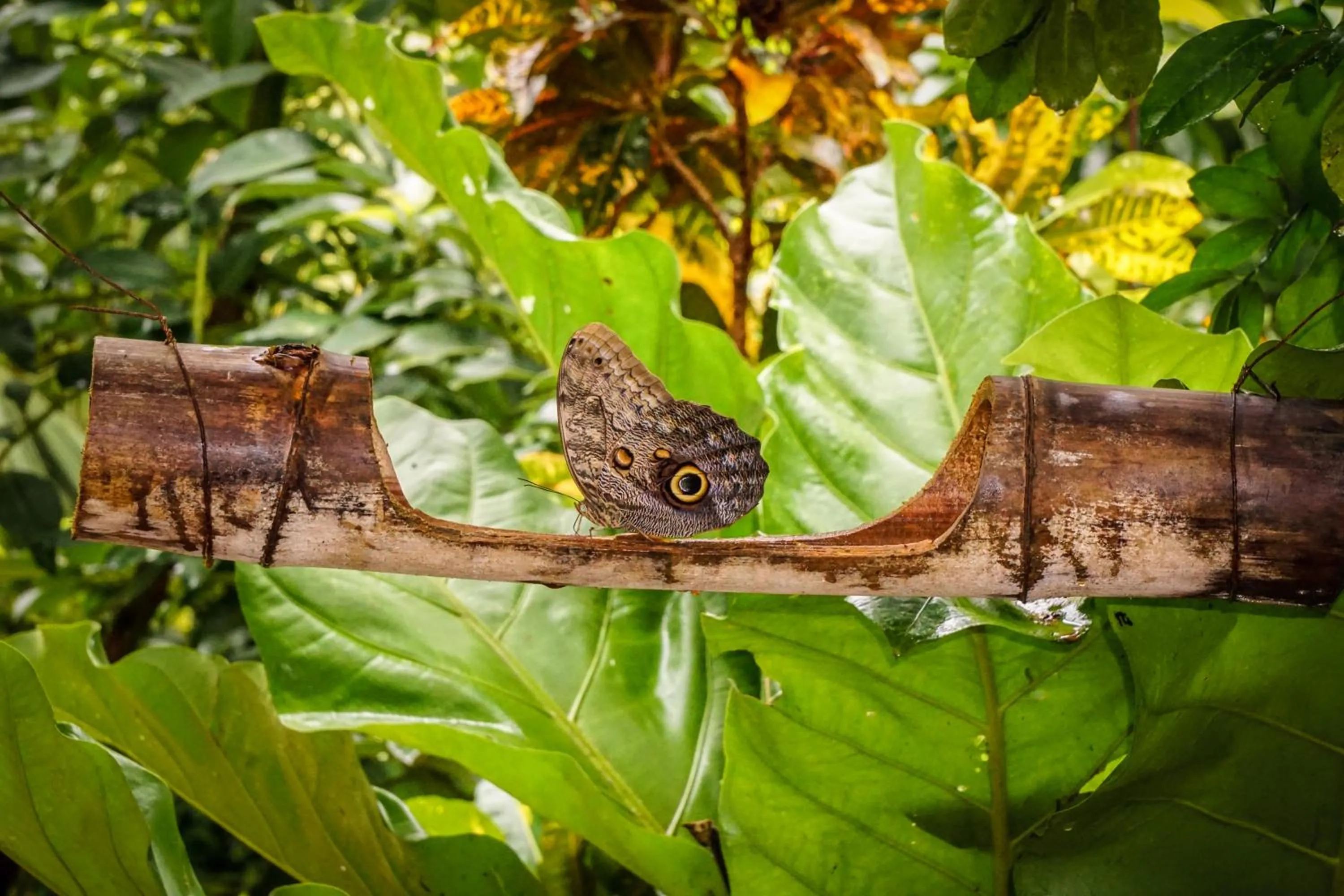 Day in Barranquero Hotel