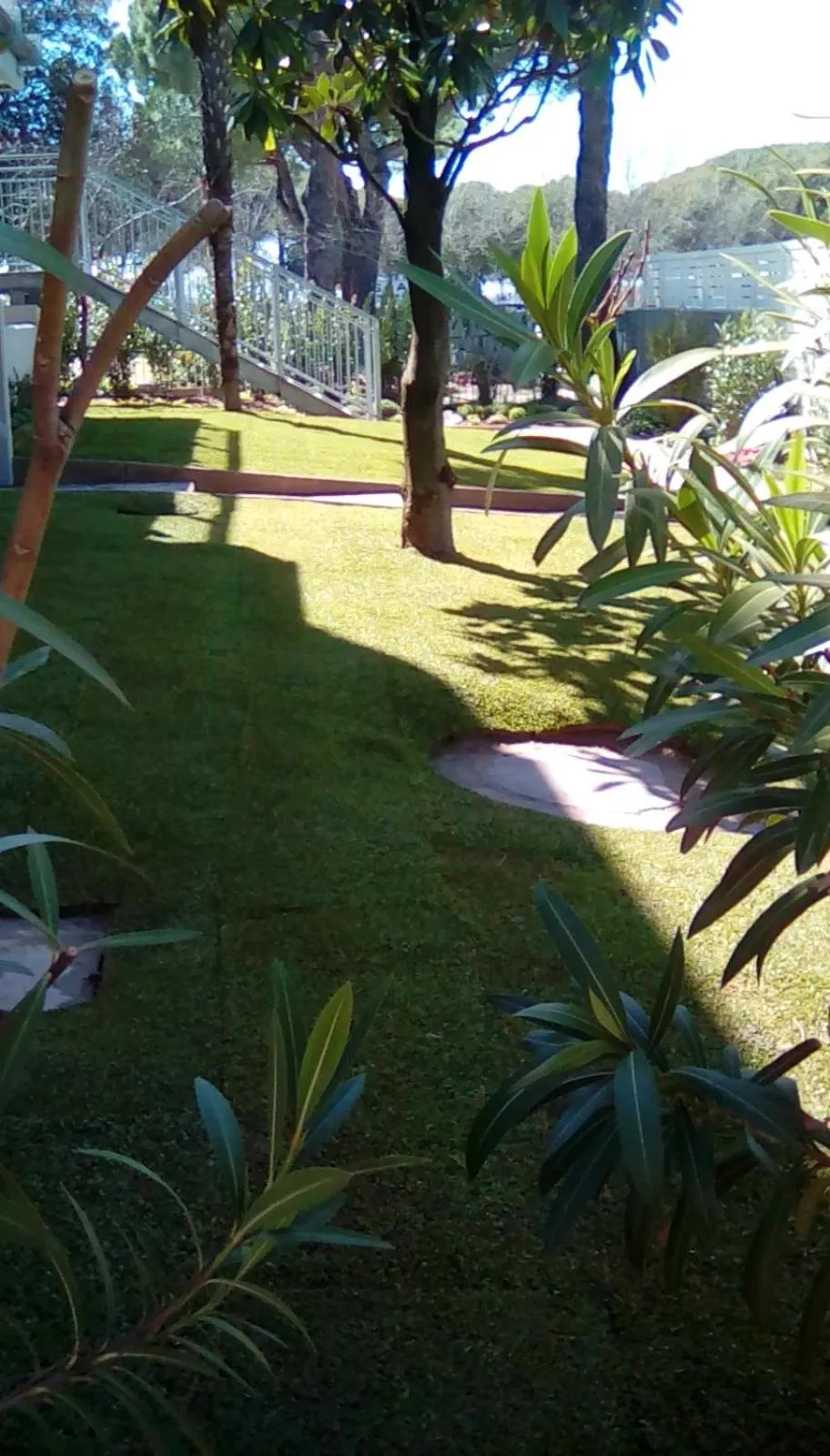 Property building in sebante