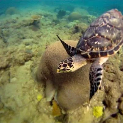 Beach in Hotel Colombus