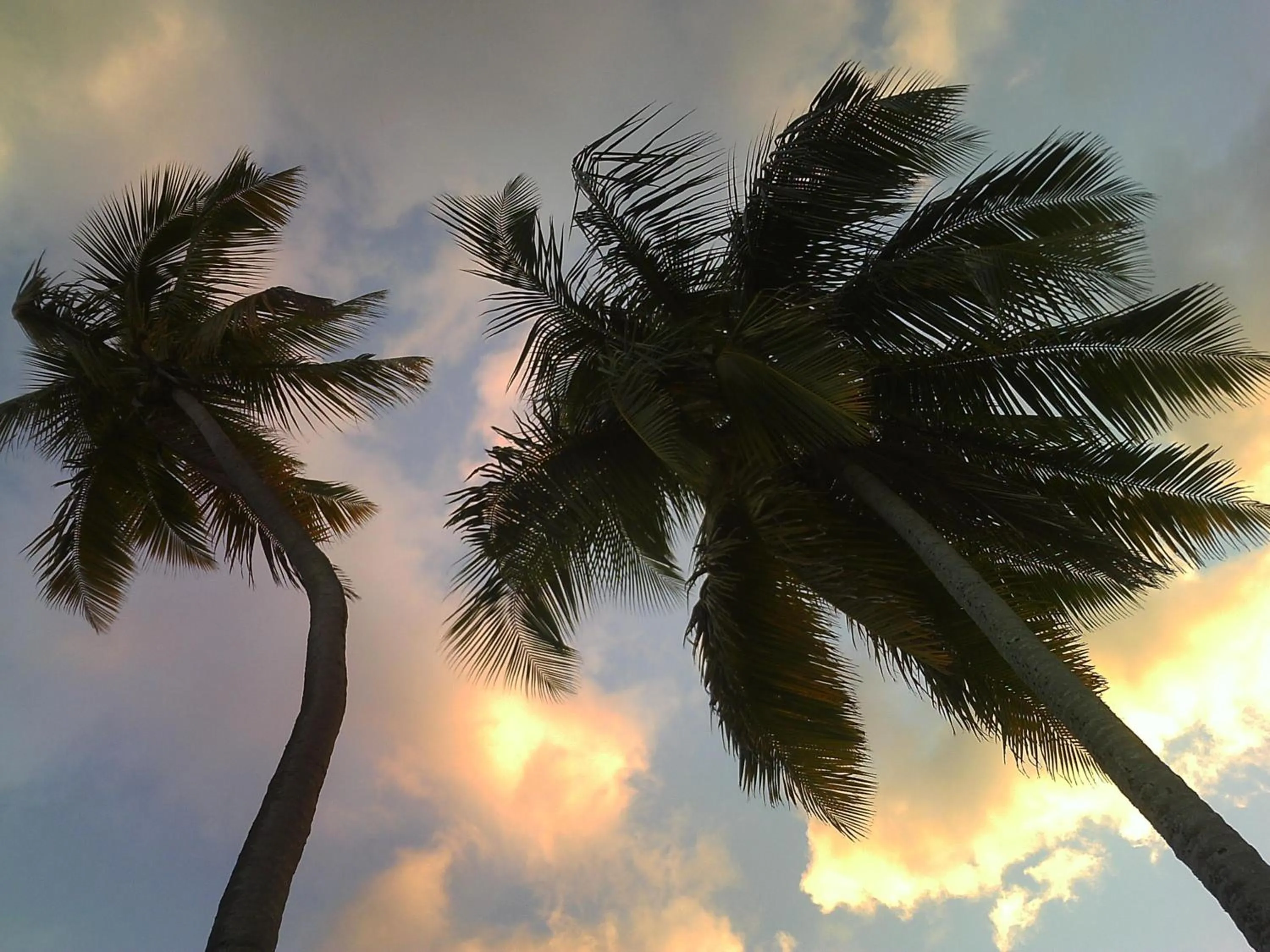 View (from property/room) in Hotel Colombus