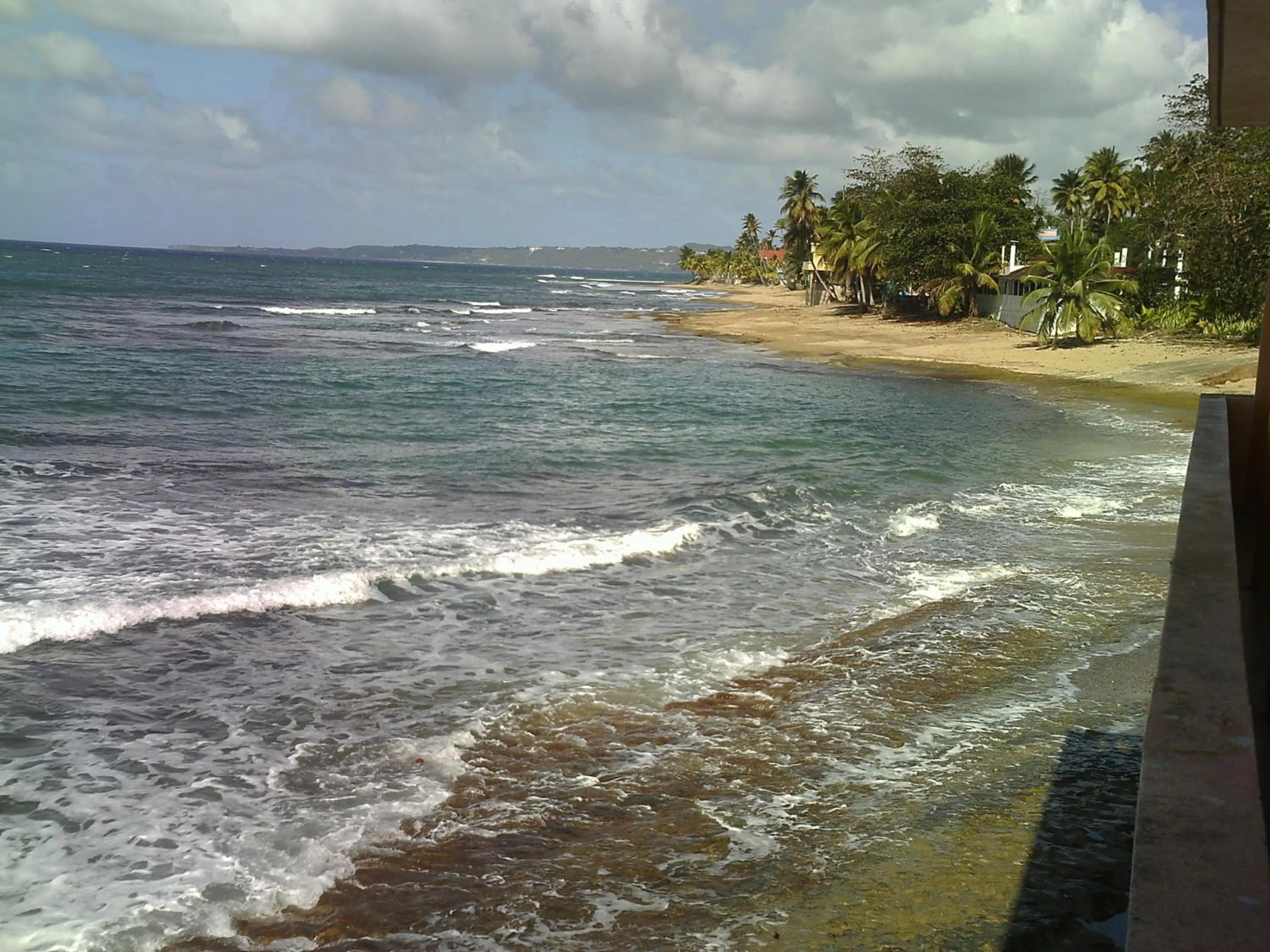 View (from property/room) in Hotel Colombus