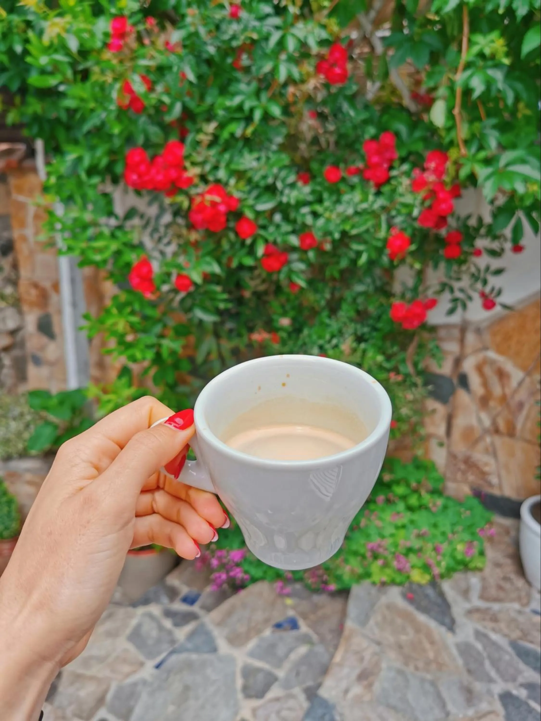 Restaurant/places to eat in Kavaler Hotel