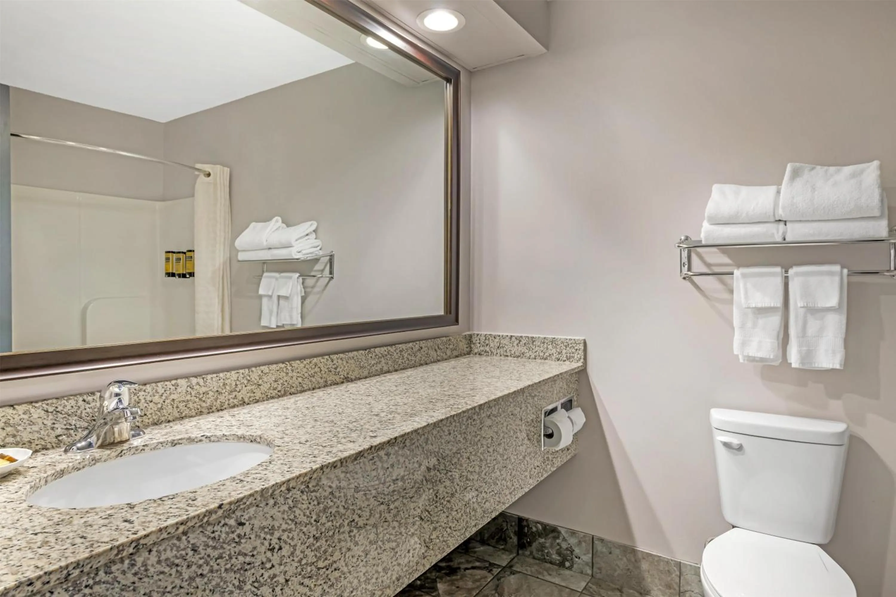 Bathroom in Best Western Plus Eau Claire Conference Center