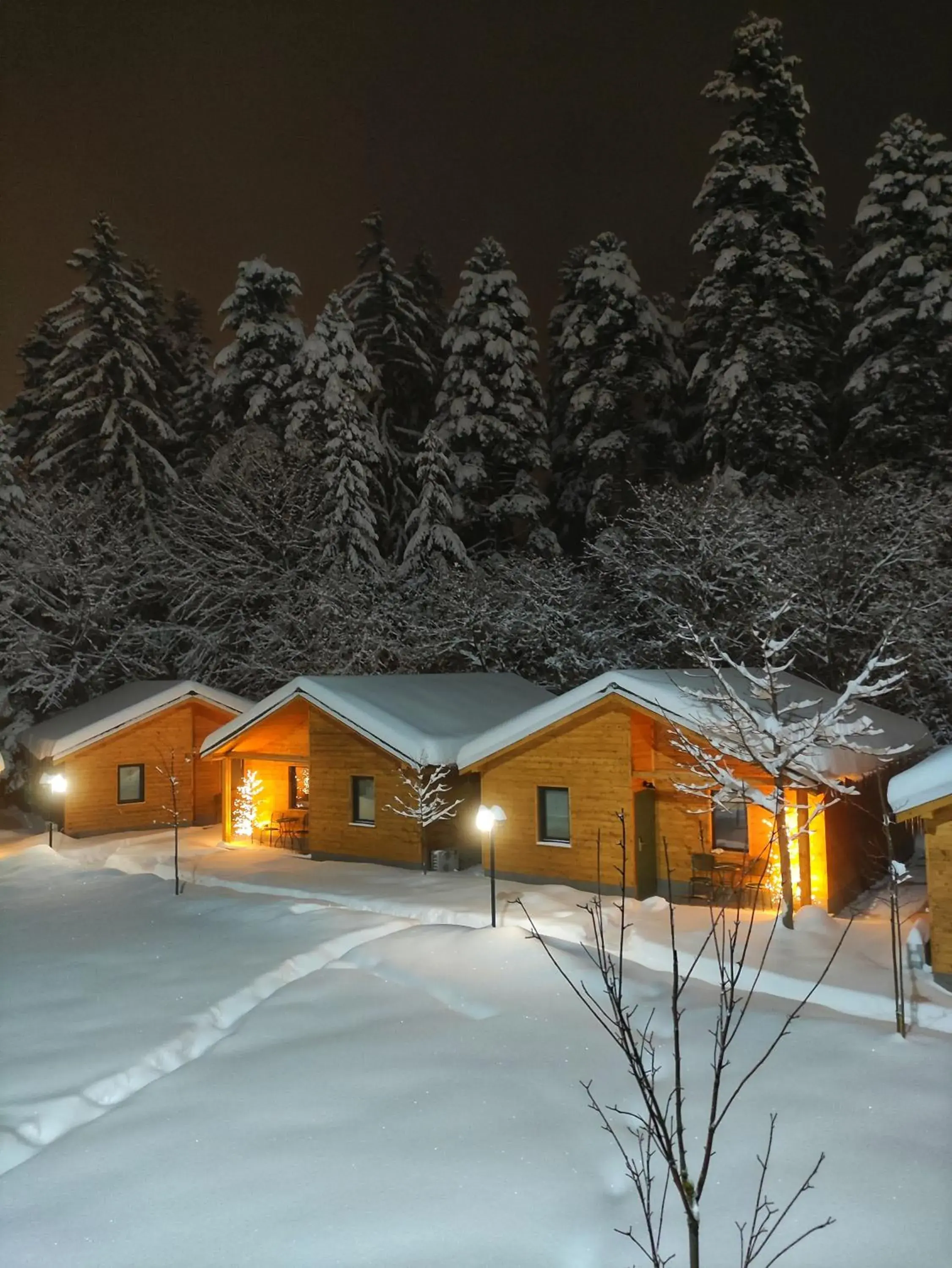 Two-Bedroom Villa in Iglika Hotel & Villas Borovets Two-Bedroom Villa in Iglika Hotel & Villas Borovets