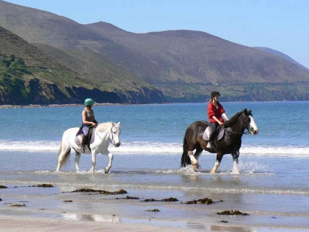 Horse-riding in Glencurrah House B&B