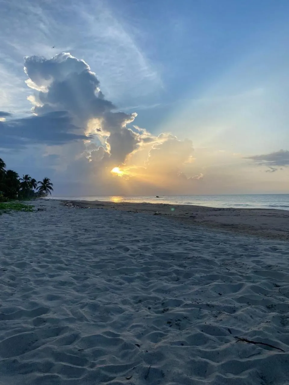 Coccoloba Beach Hotel