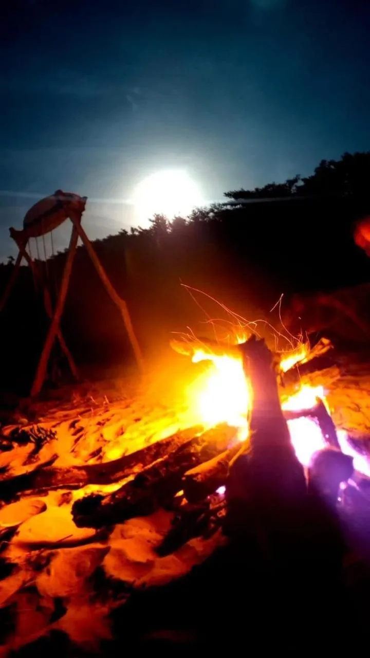 Coccoloba Beach Hotel