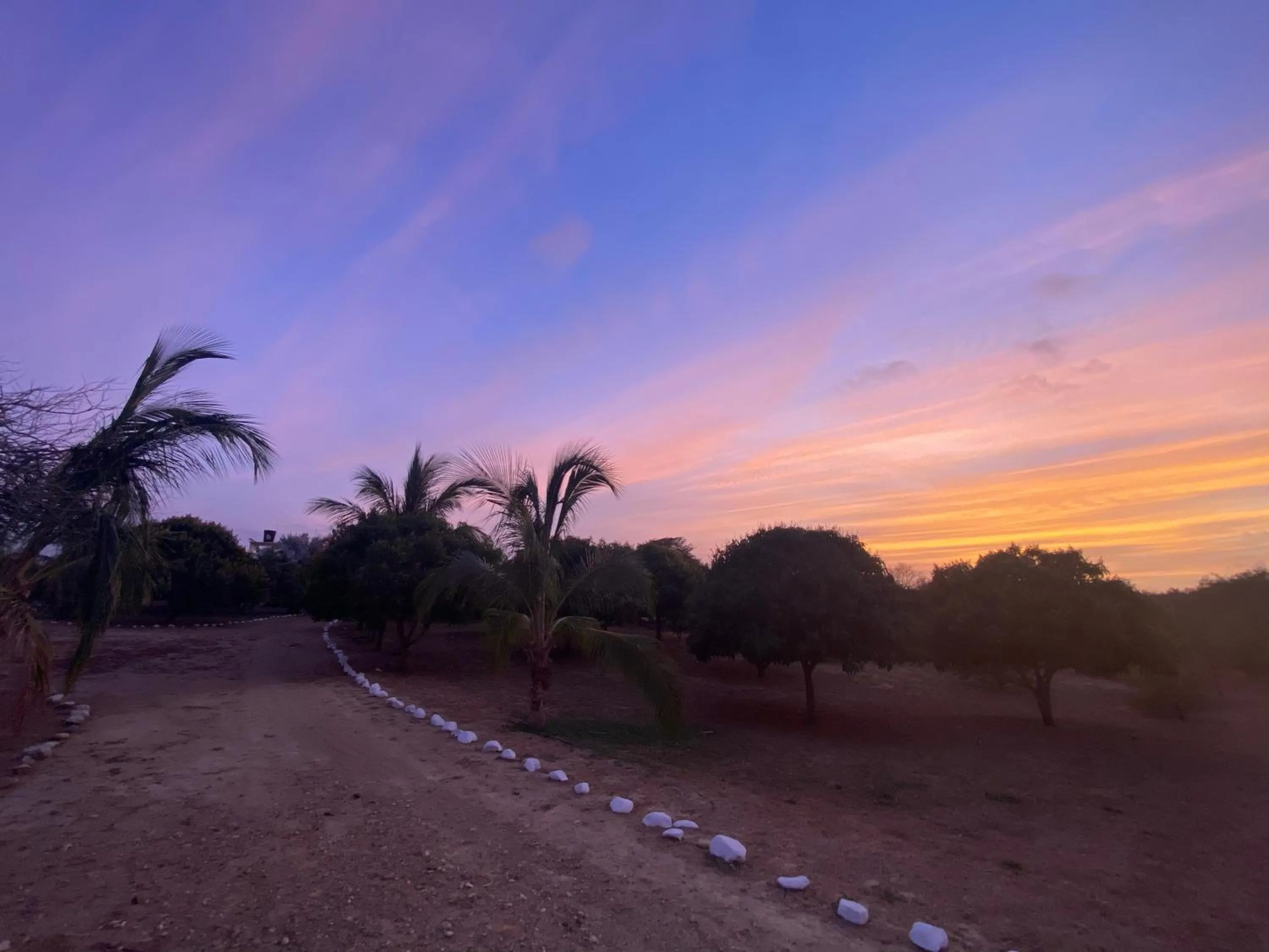 Coccoloba Beach Hotel