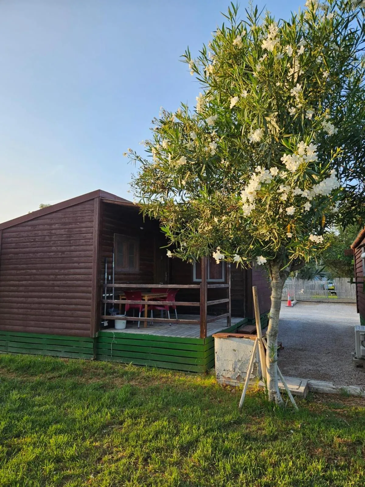 Bungalows Park Albufera