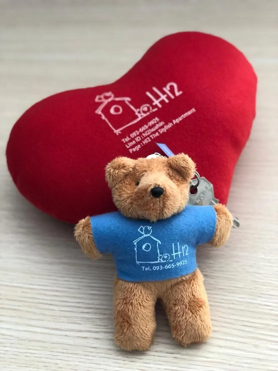 H12, The Stylish Apartment