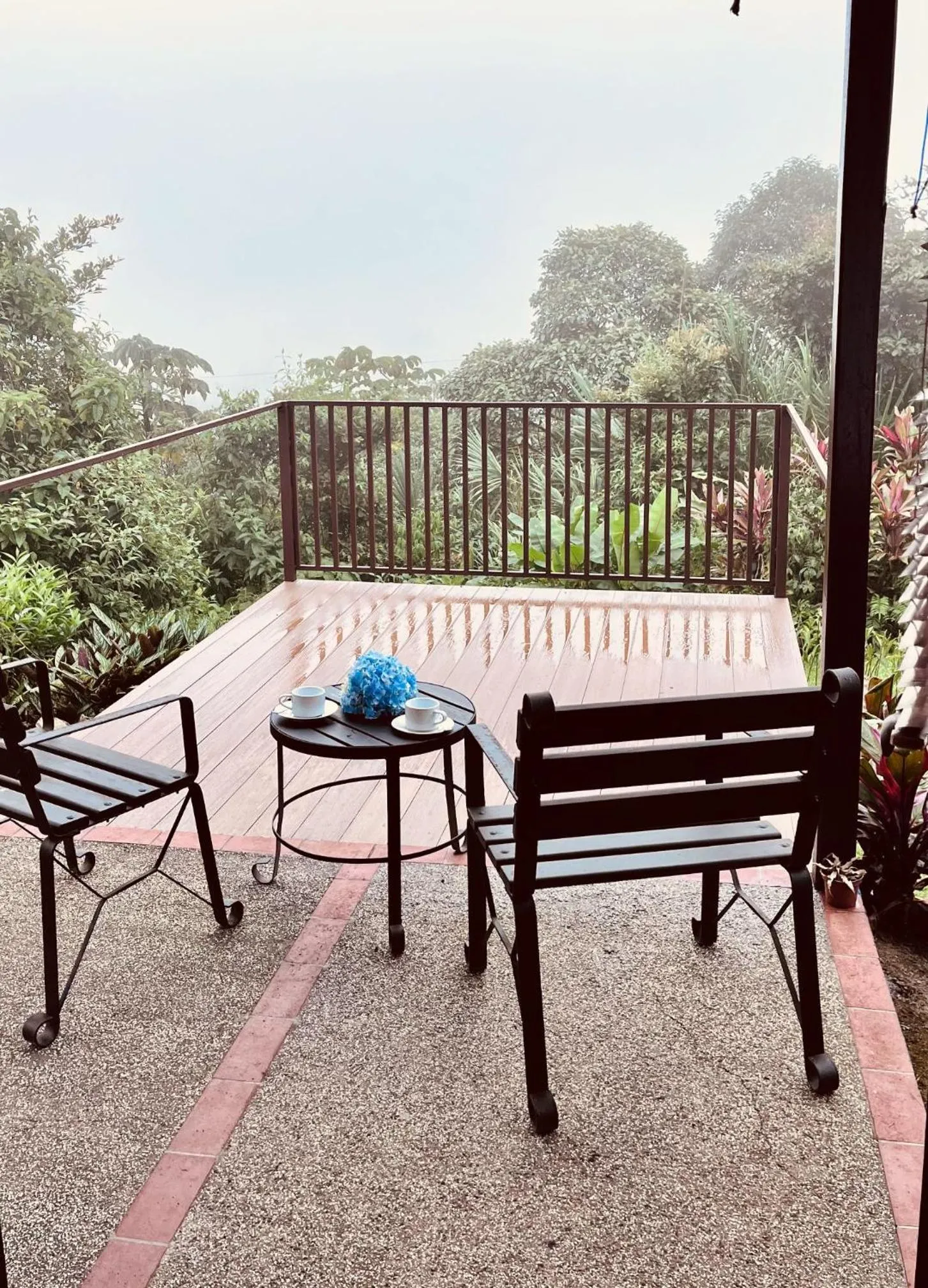 Balcony/Terrace in Villa Blanca Cloud Forest Hotel & Retreat