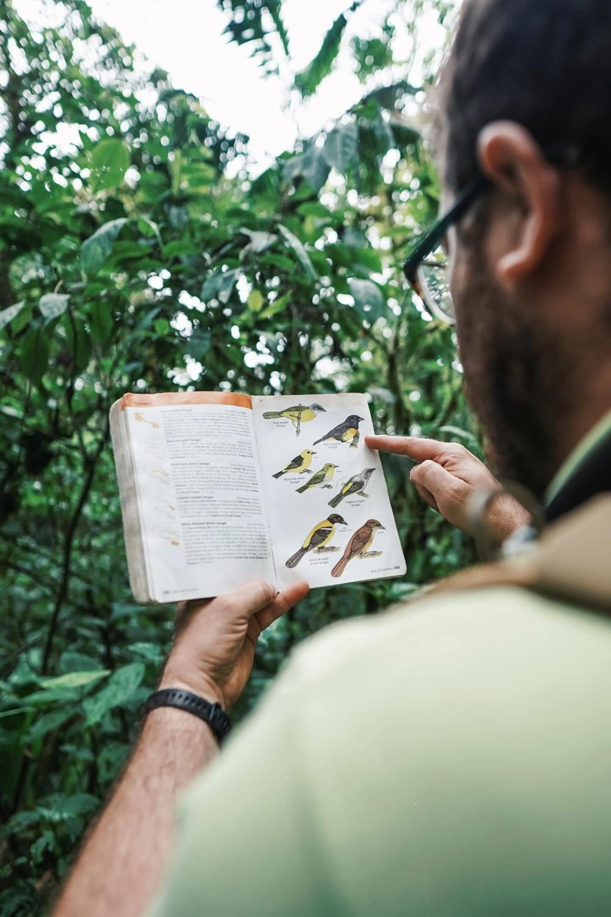 Other in Villa Blanca Cloud Forest Hotel & Retreat