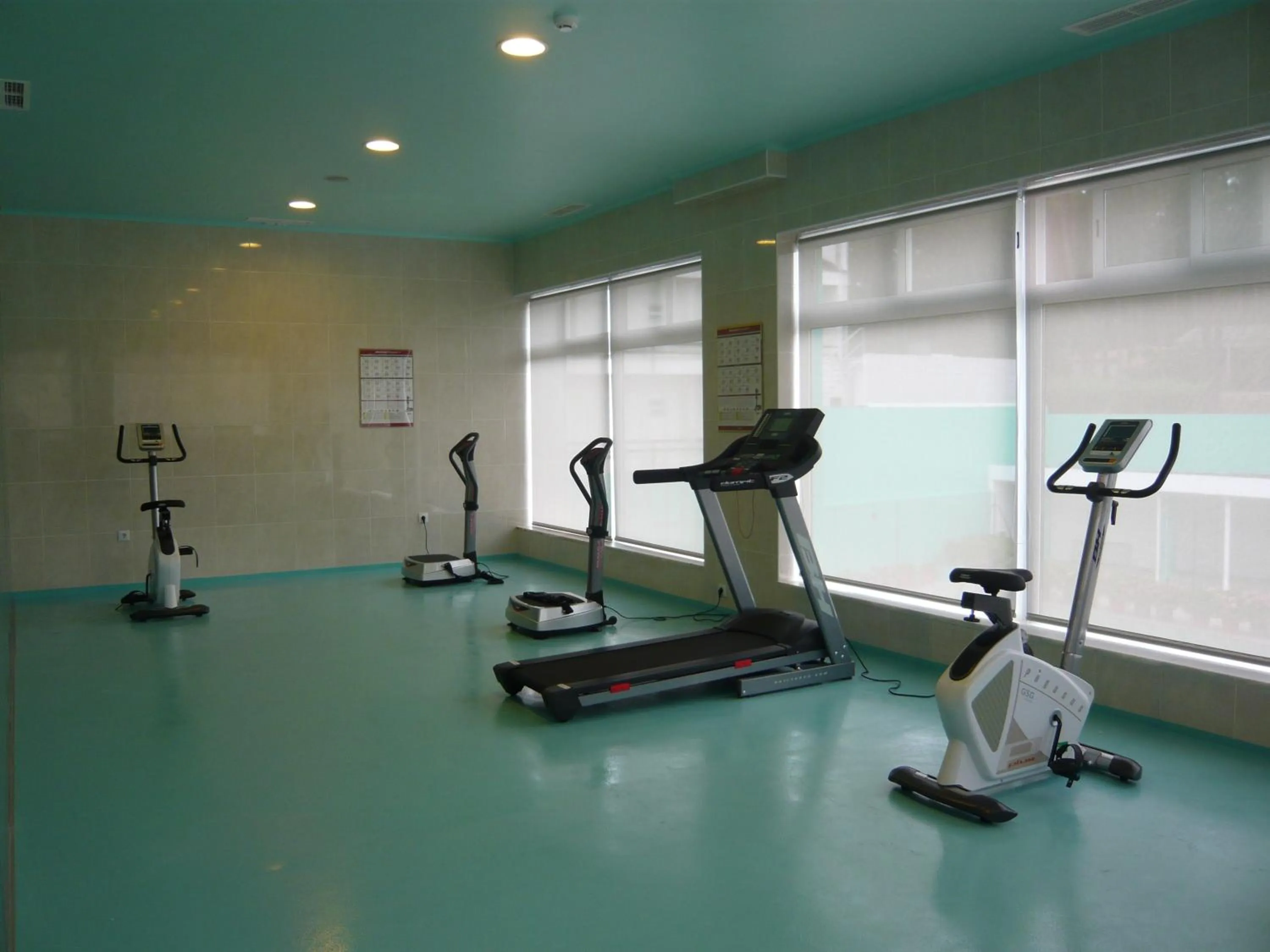 Fitness centre/facilities in D. Afonso Hotel & SPA