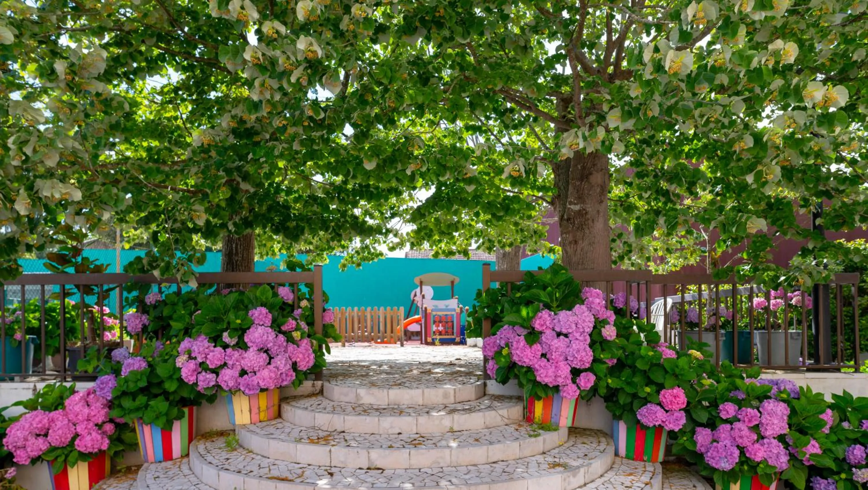 D. Afonso Hotel & SPA