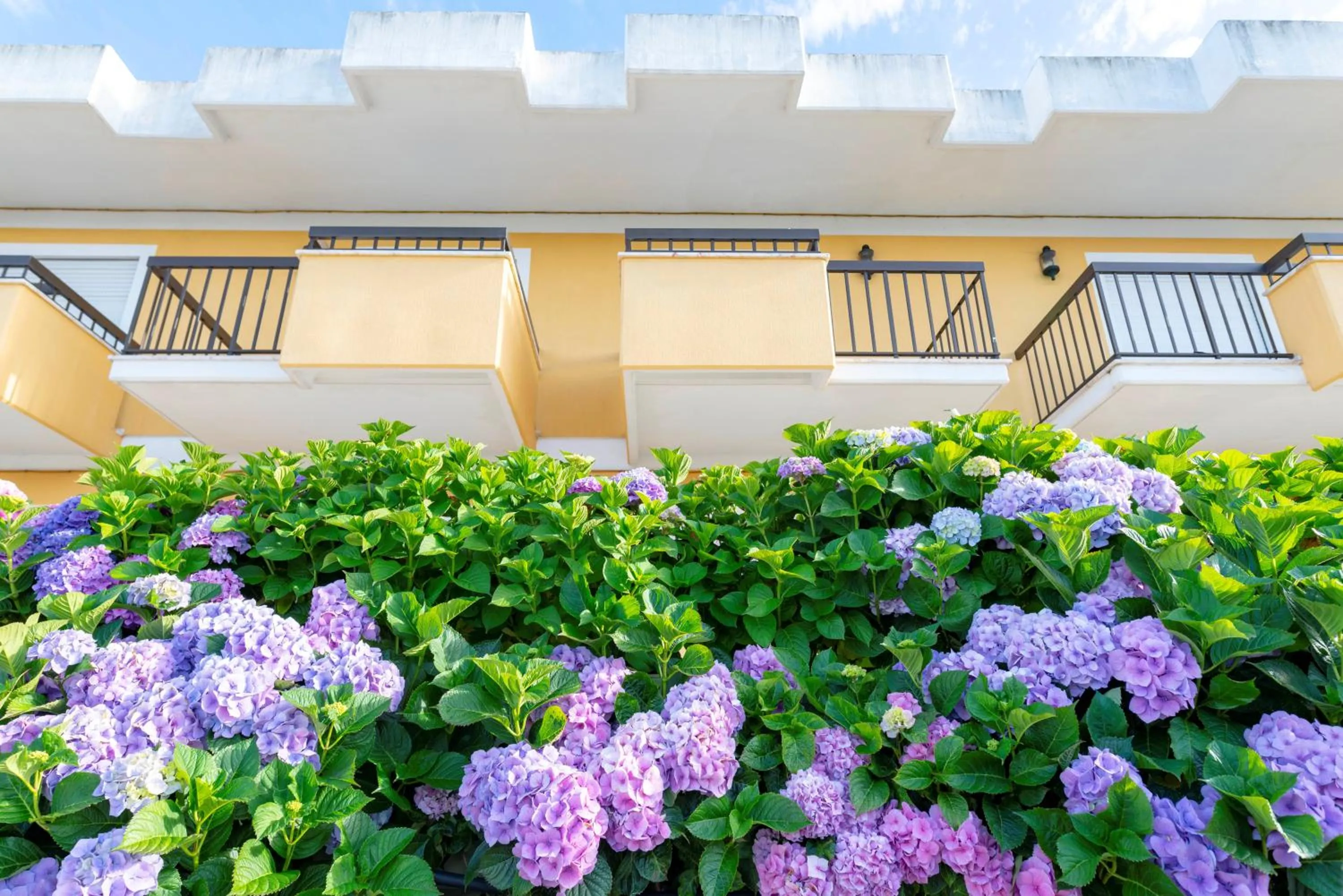 D. Afonso Hotel & SPA