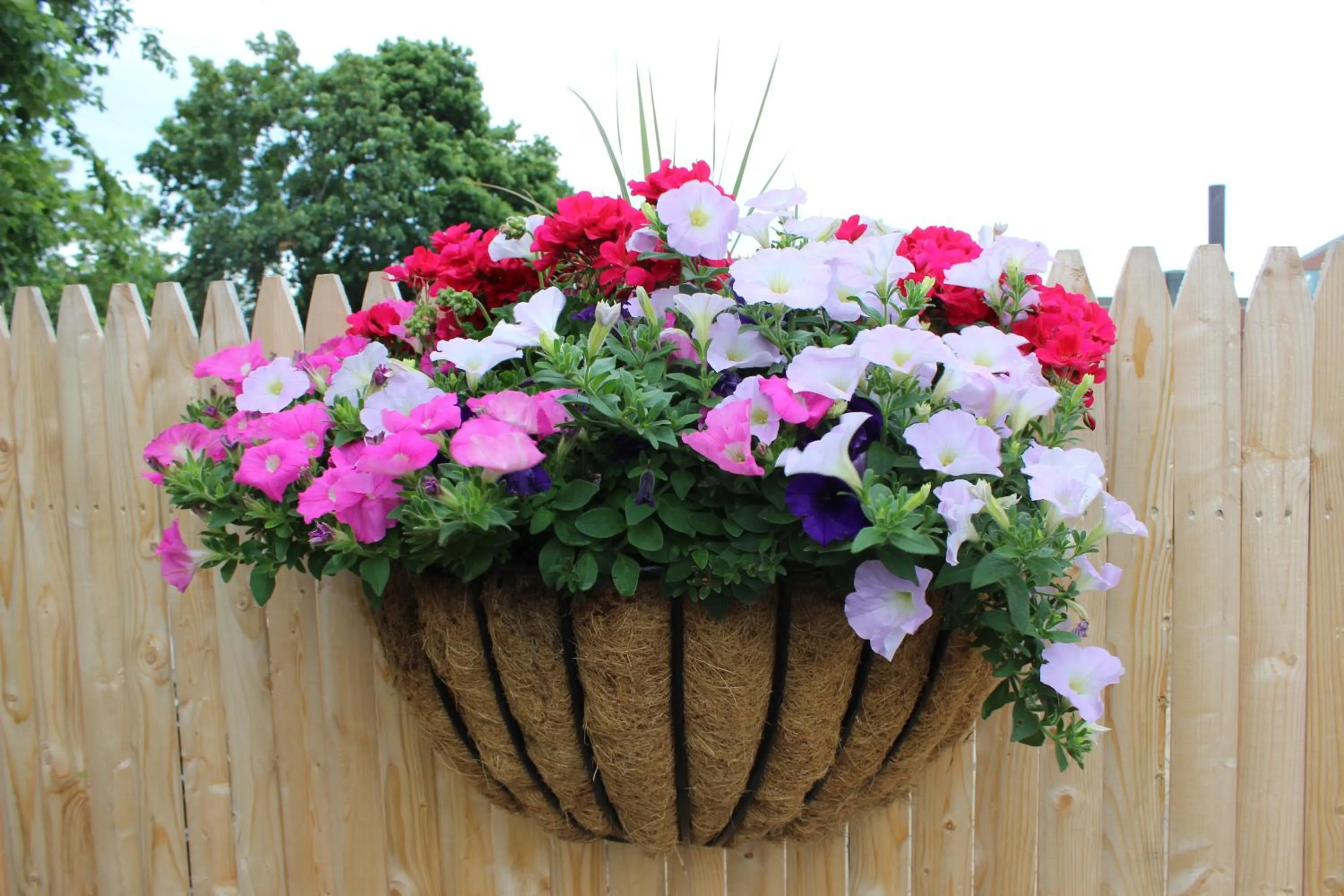 Decorative detail in Town & Beach Motel