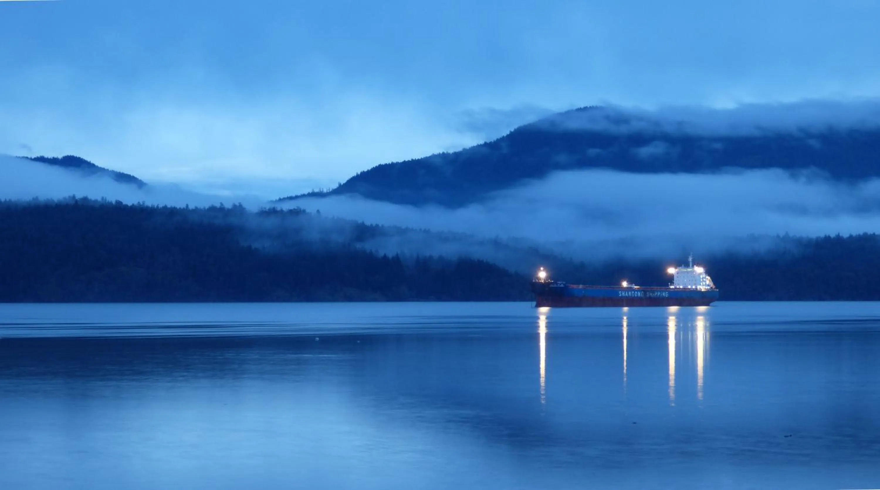 View (from property/room) in Oceanfront Suites at Cowichan Bay