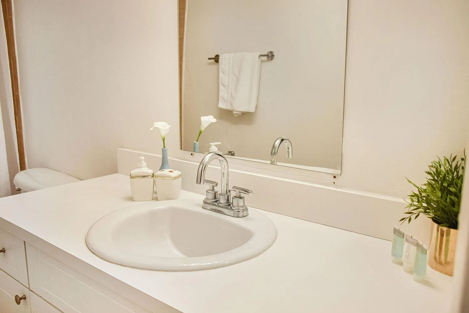 Bathroom in Coral Reef at Key Biscayne