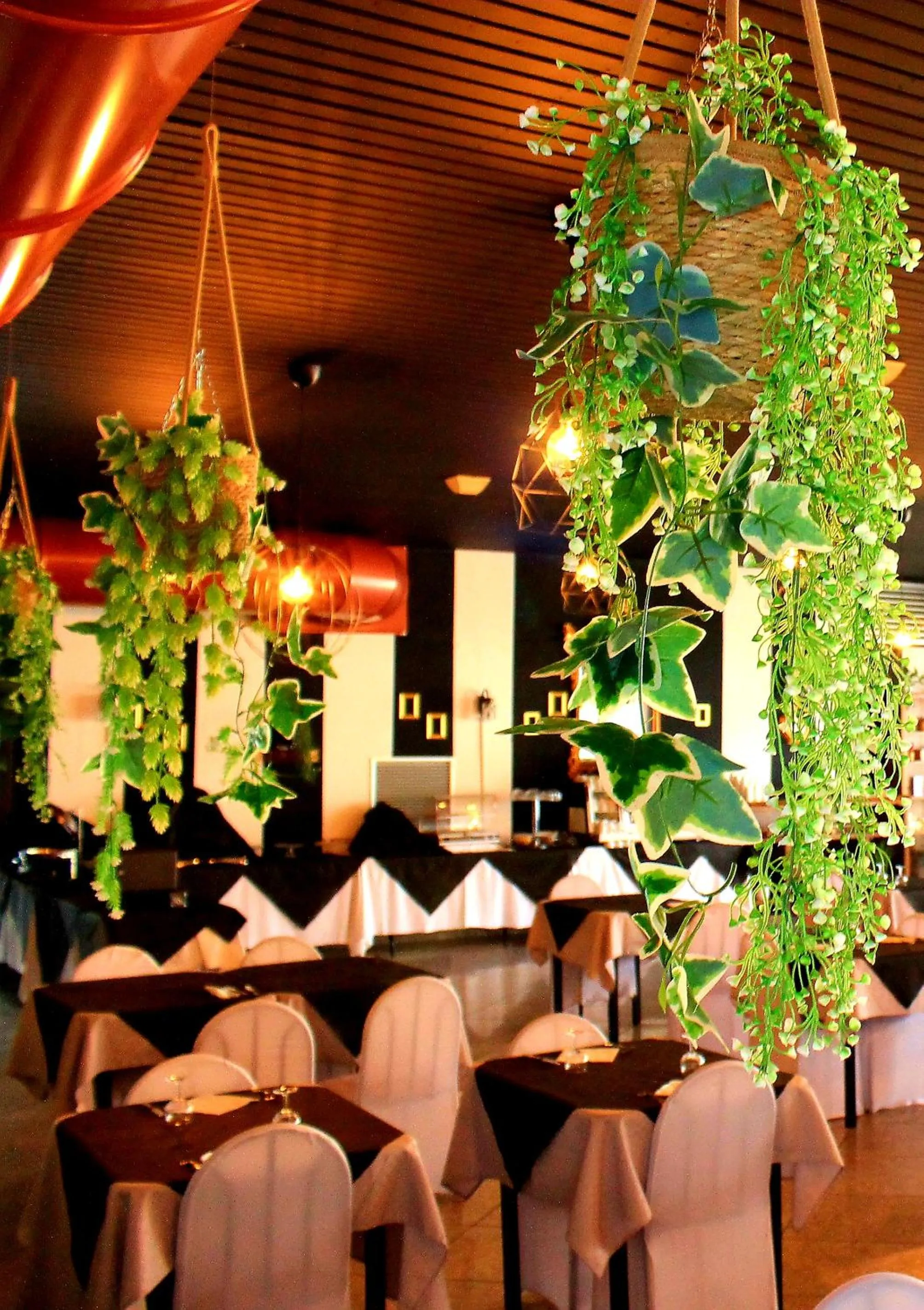 Restaurant/places to eat in Hotel Nuovo Sole HNS