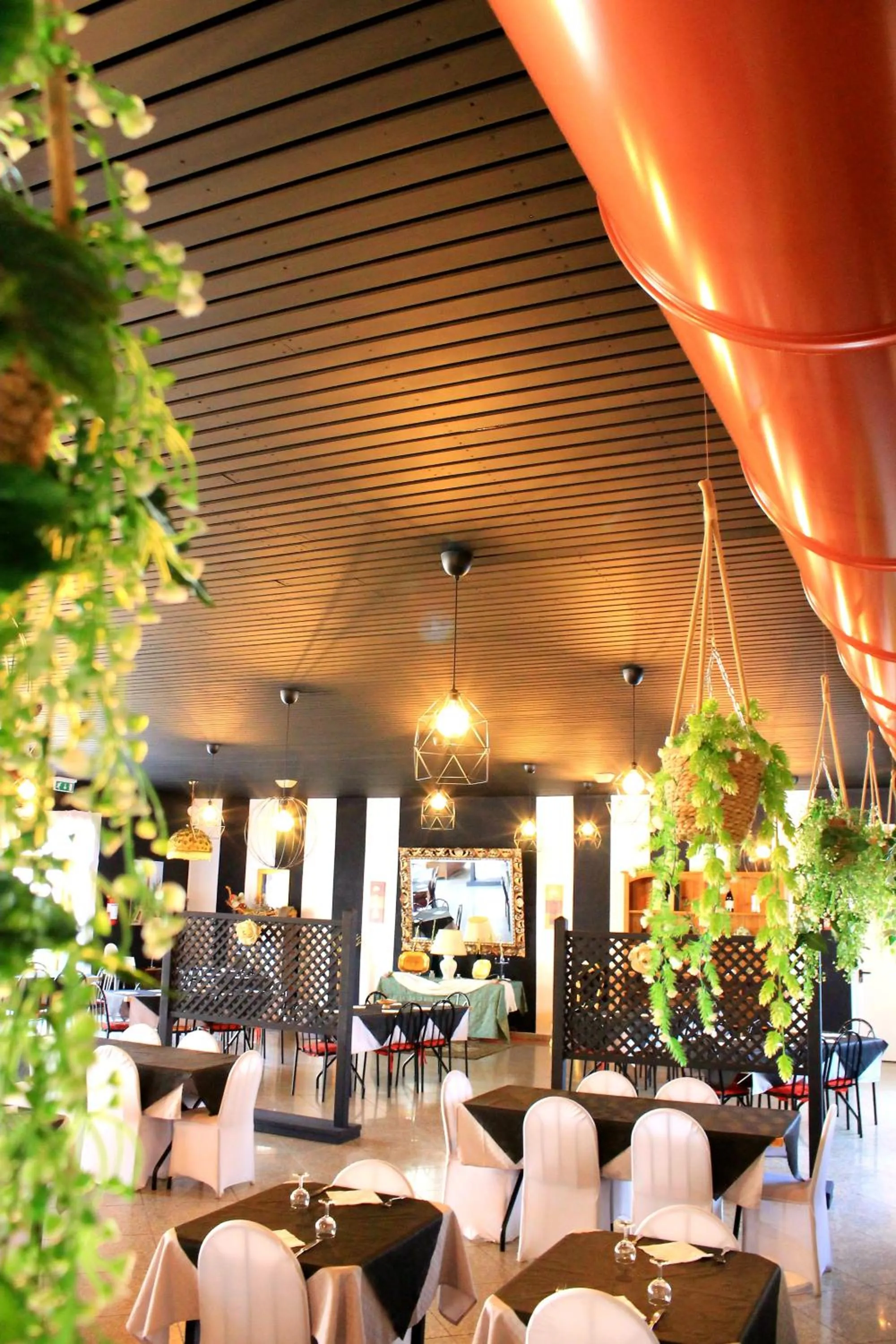 Restaurant/places to eat in Hotel Nuovo Sole HNS