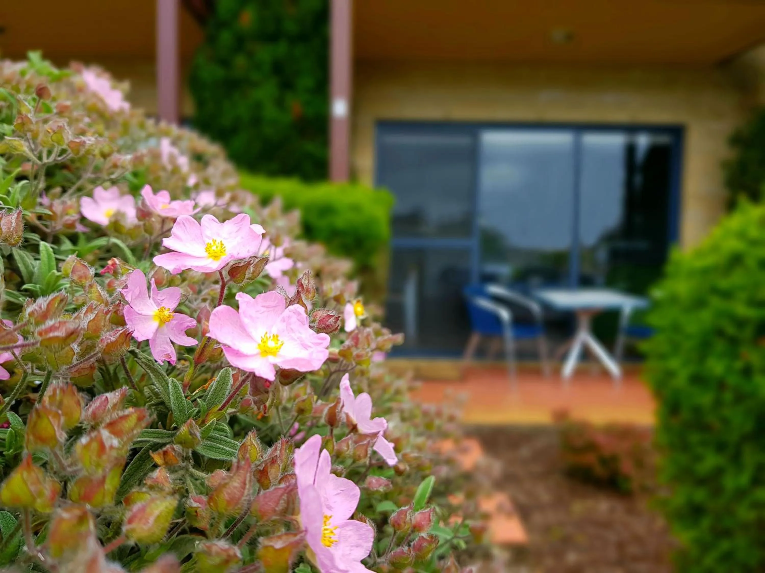 Patio in Seaview Motel & Apartments