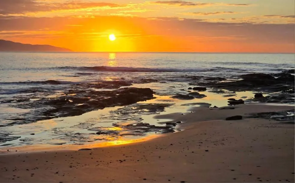 Seaview Motel & Apartments