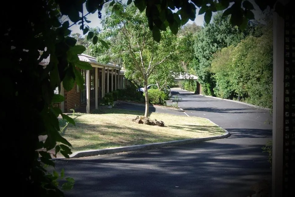 Area and facilities in Eltham Motor Inn