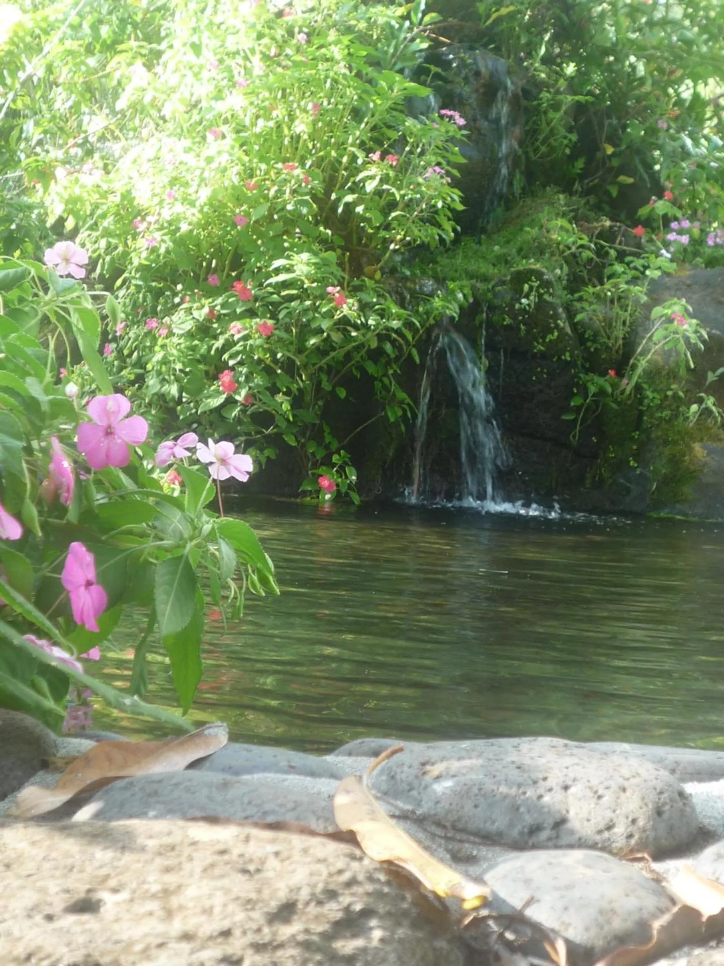 Garden view in Vanira Lodge