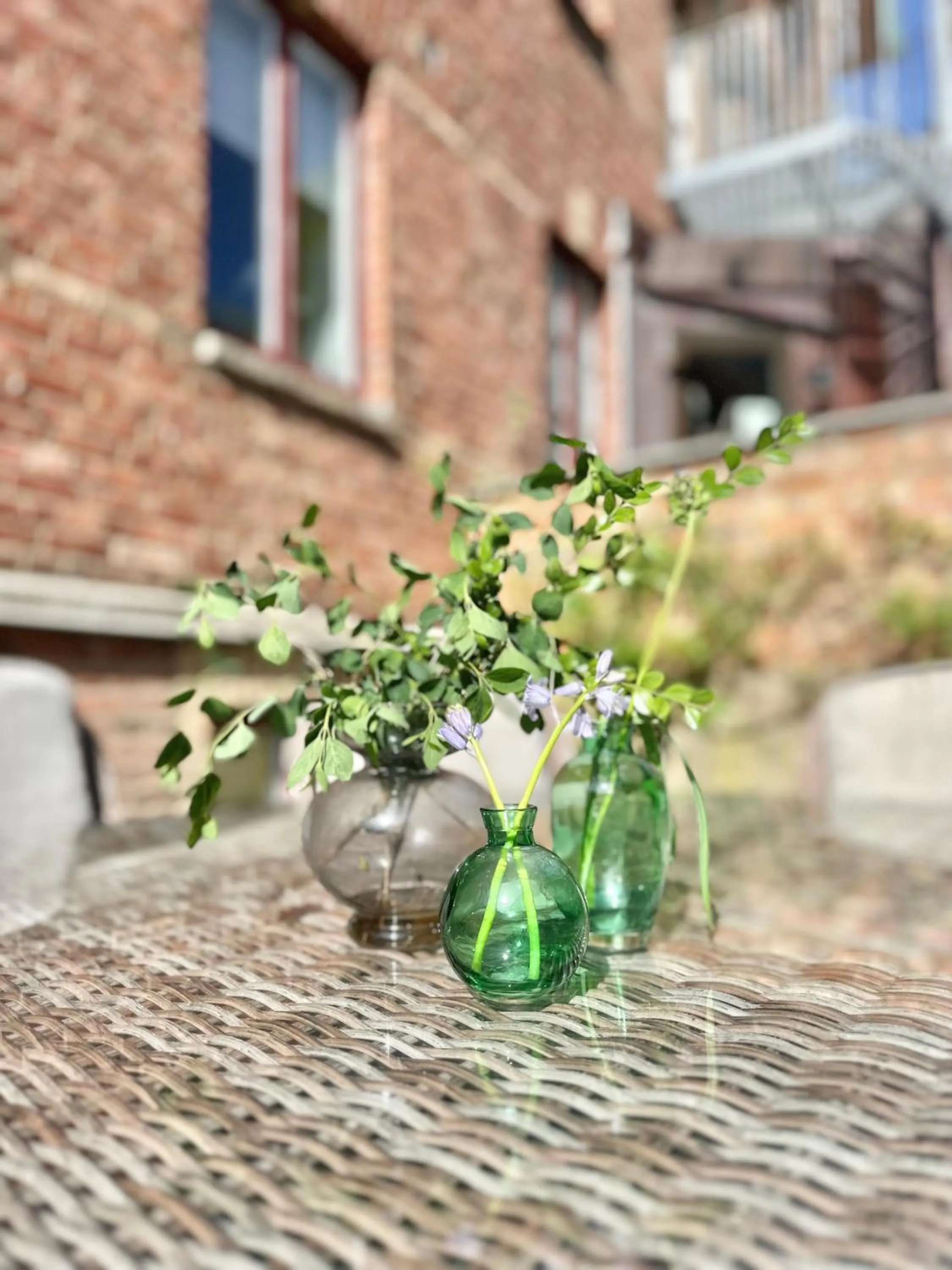 Garden in WOW, Föreningsgatan 9