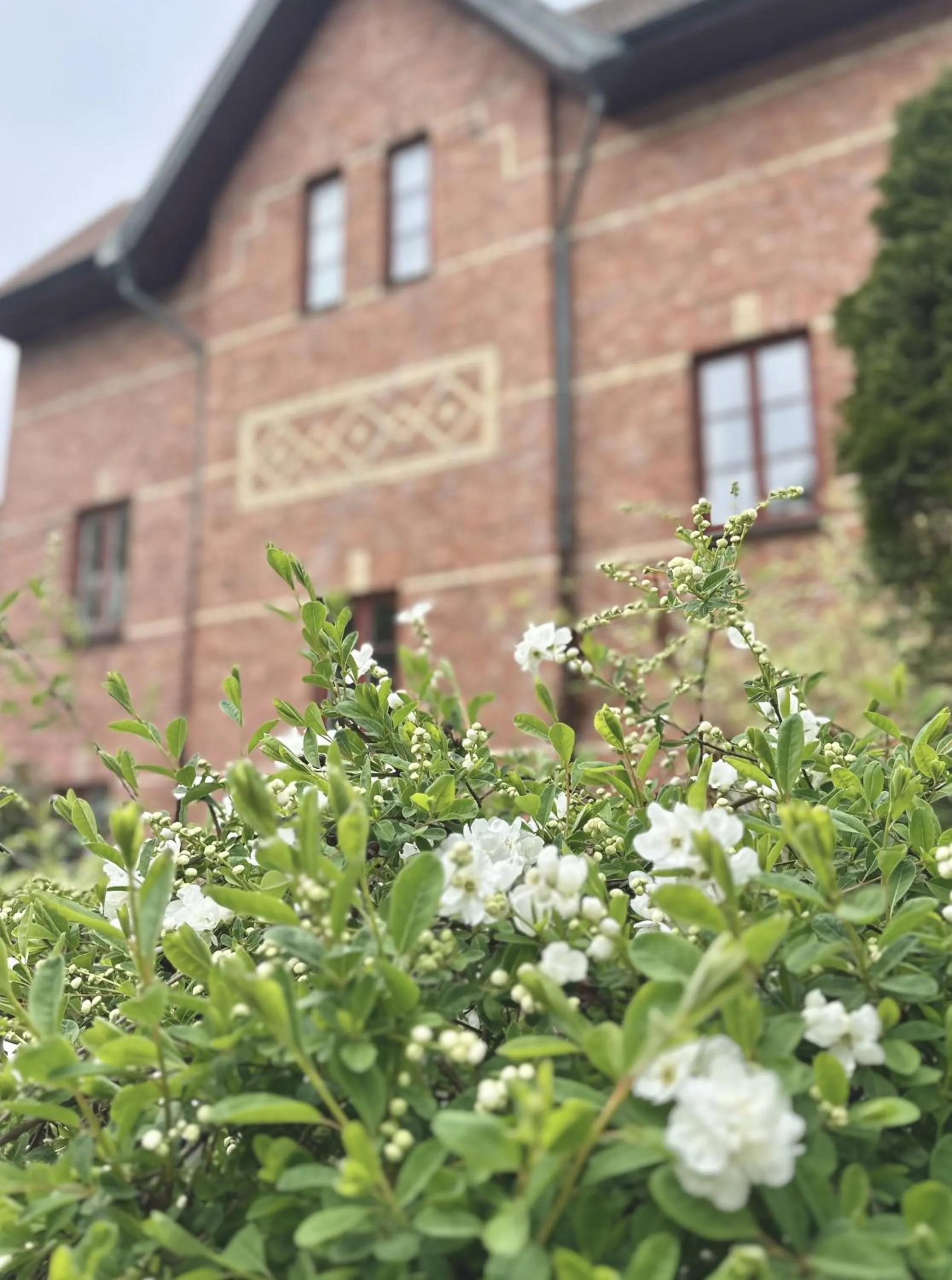 Property building in WOW, Föreningsgatan 9